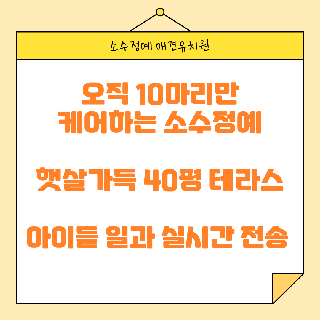 덕수네애견카페 광복로점 4
