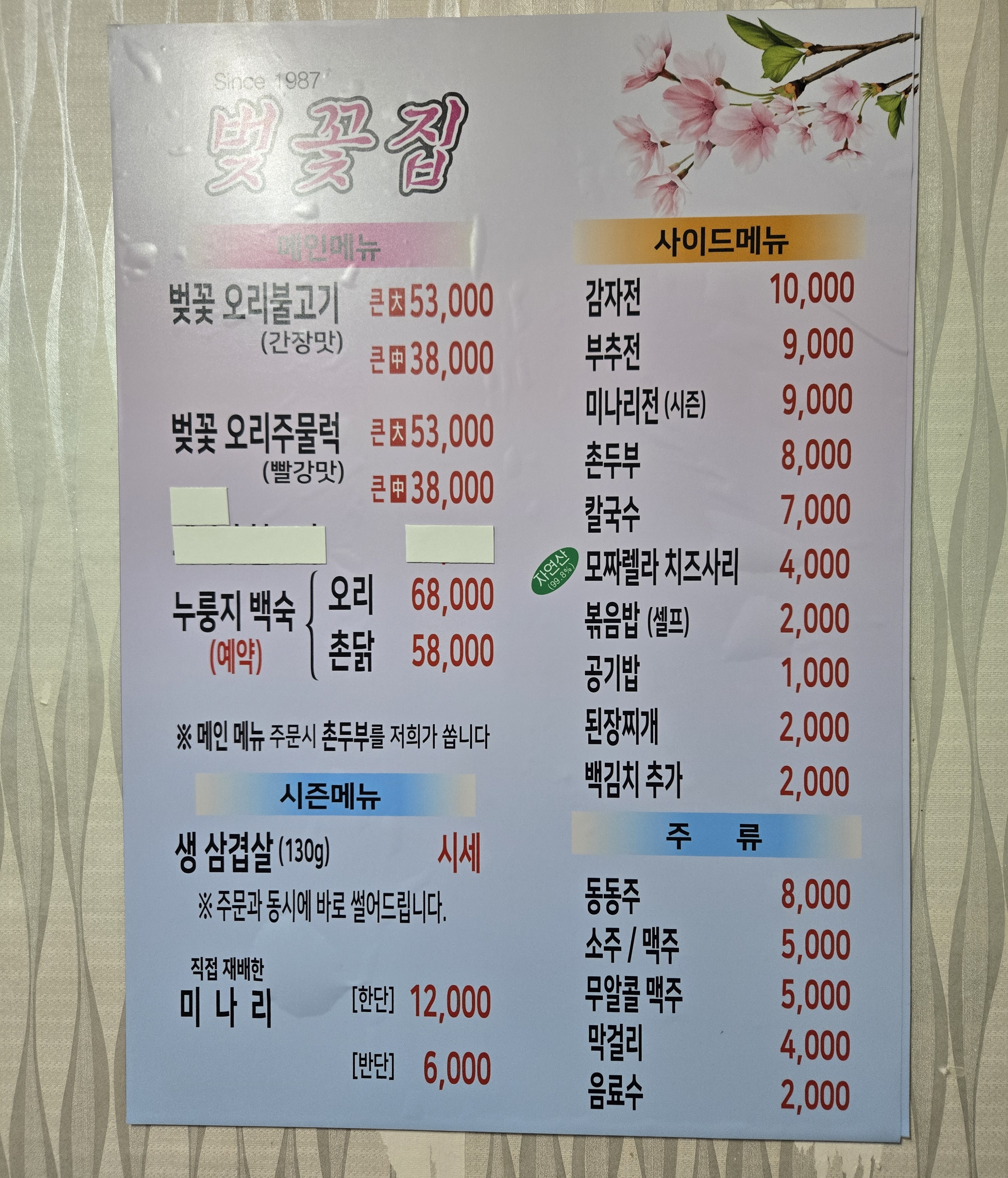 벚꽃집 6