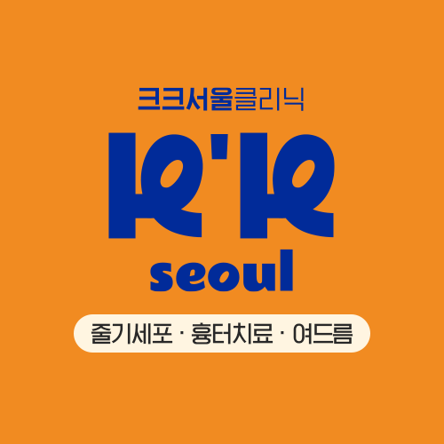 크크서울의원 대표 이미지