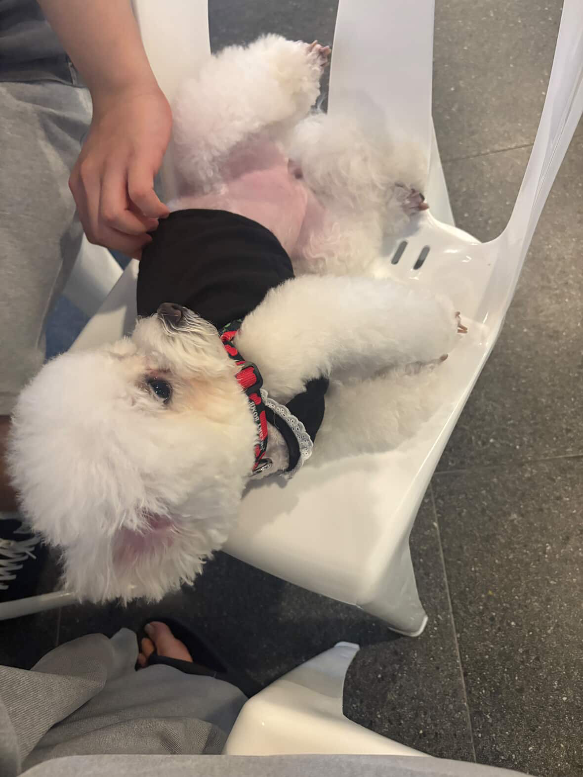 온리원 반송 대표 이미지