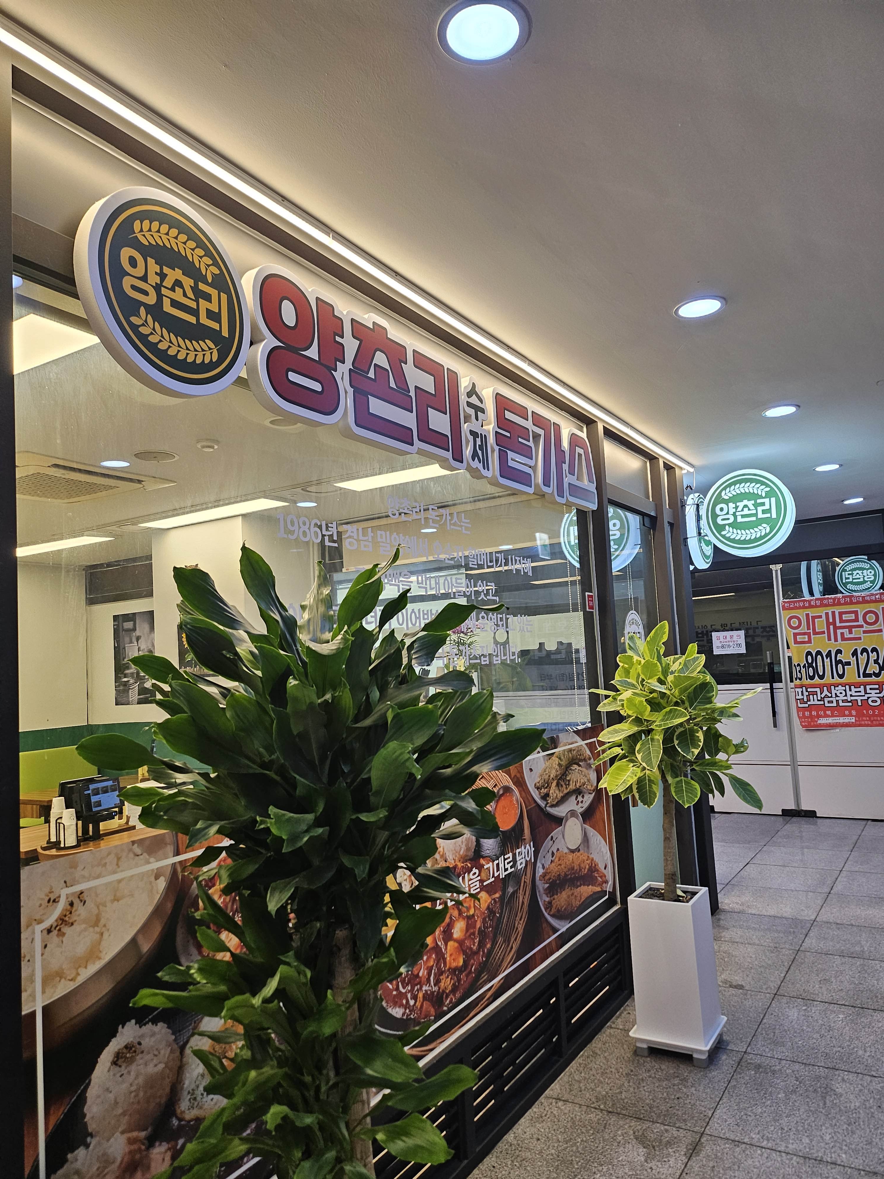 양촌리돈가스 판교하이펙스점 대표 사진