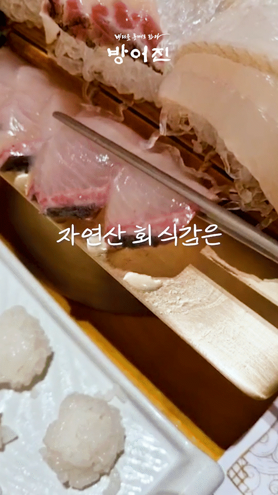 방어진 참가자미 수성못점