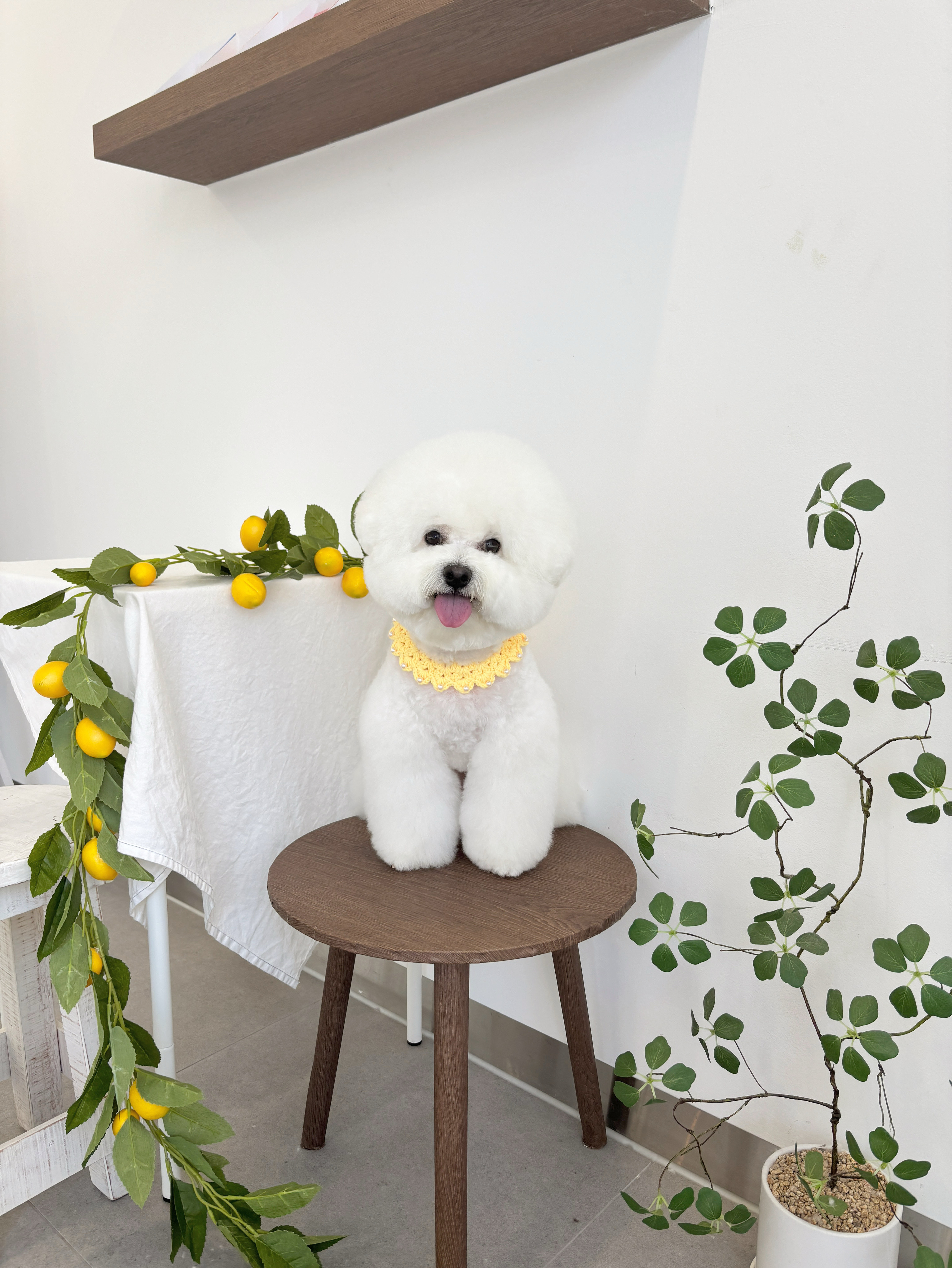 그루머,연 대표 이미지