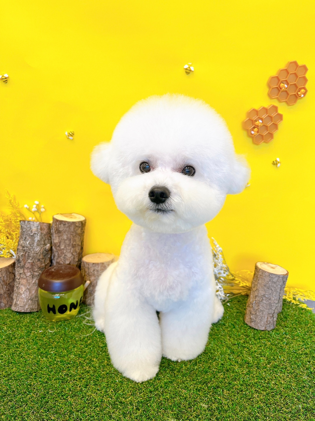 까망코살롱 대표 이미지