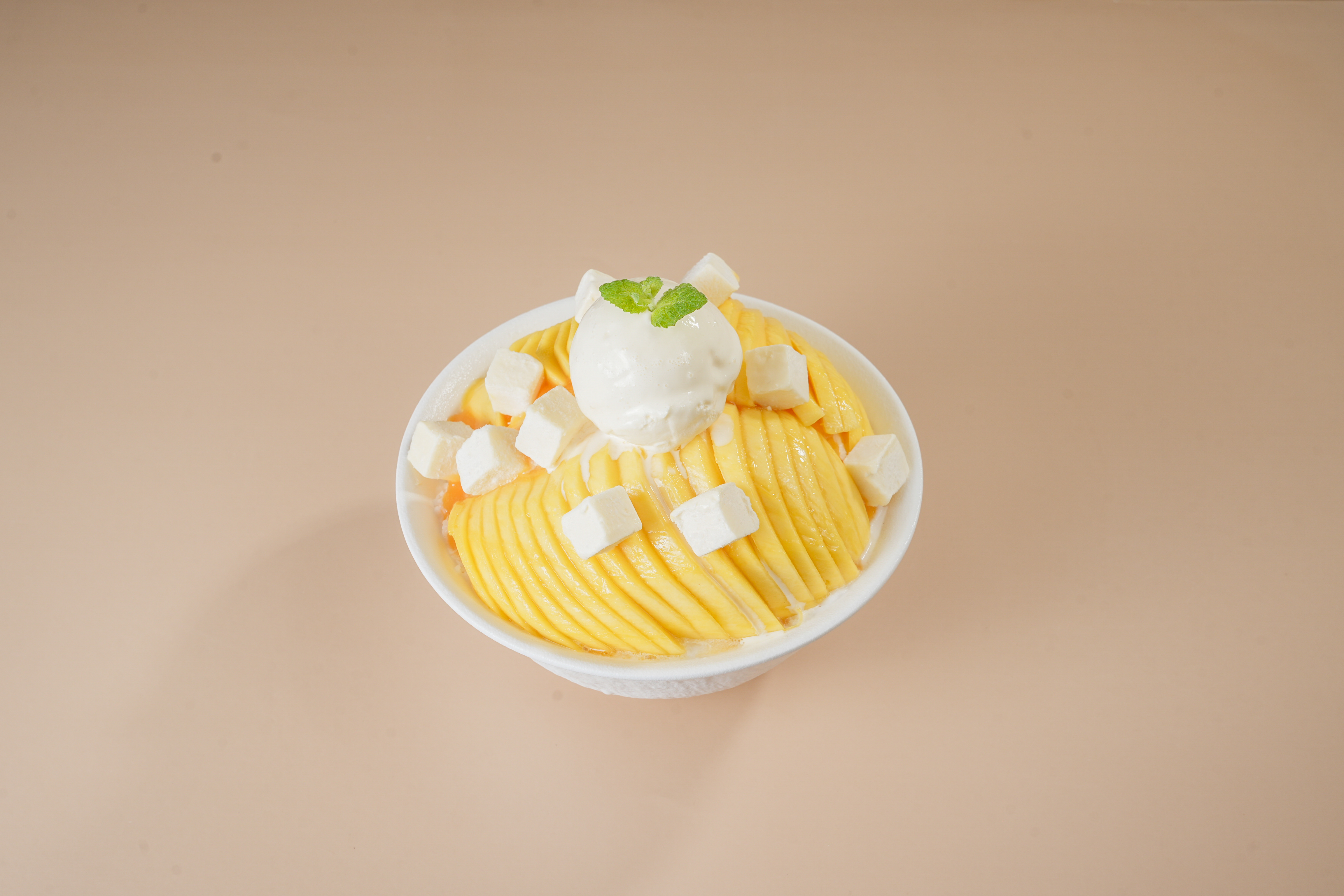 모다 경기 애견맛집
