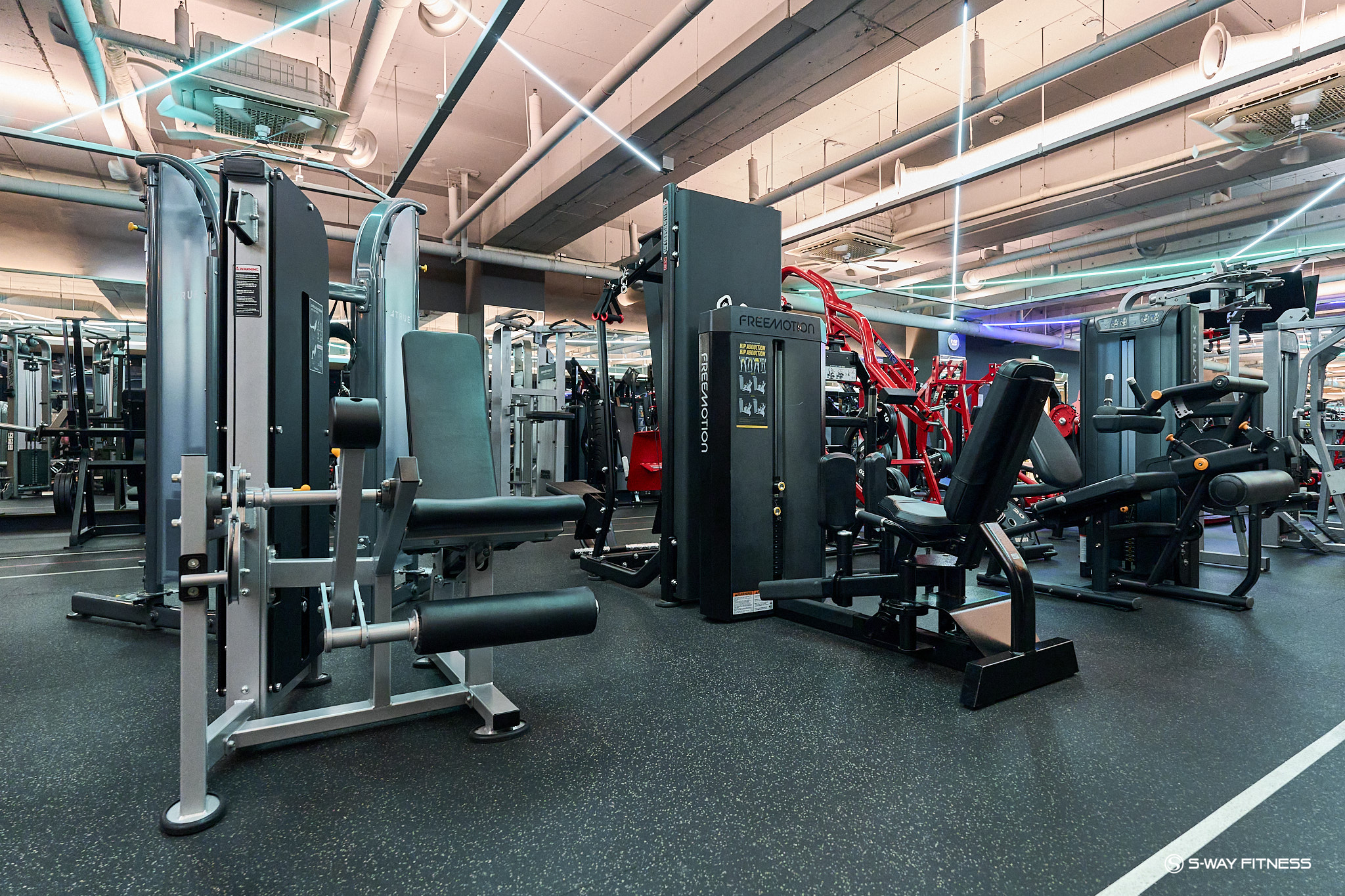 에스웨이 피트니스 대표 이미지