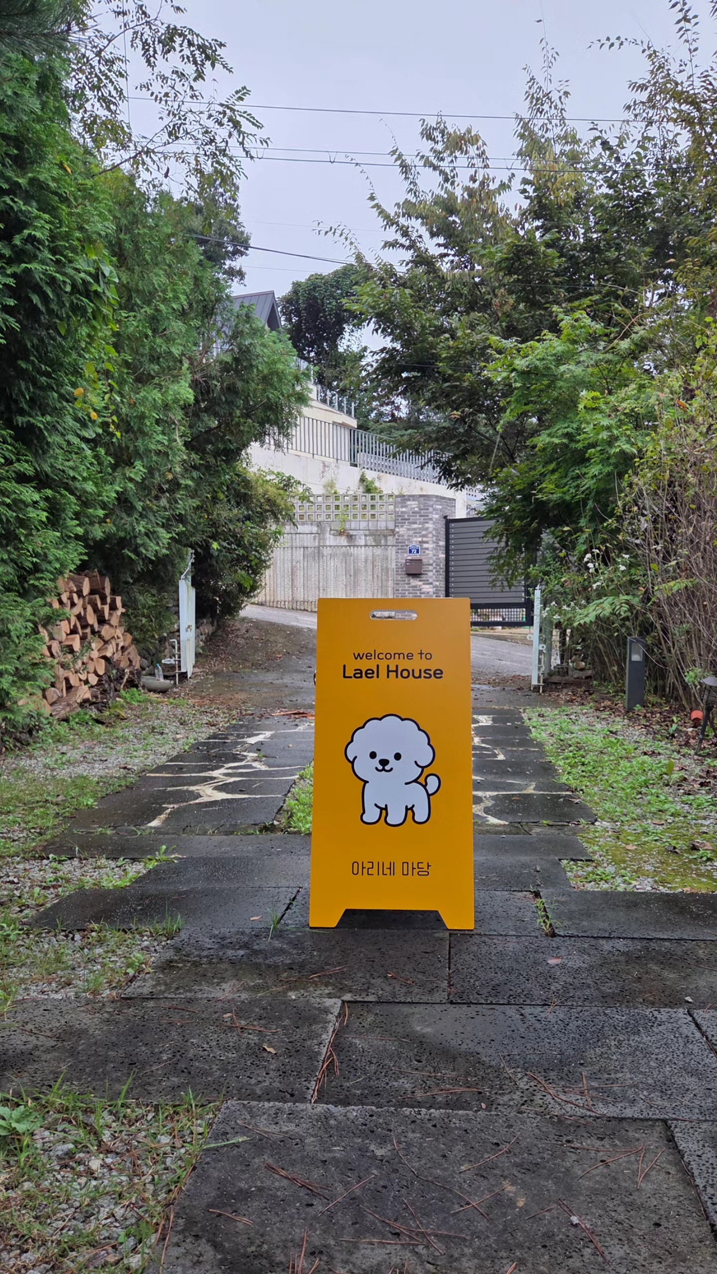 라엘 대표 이미지