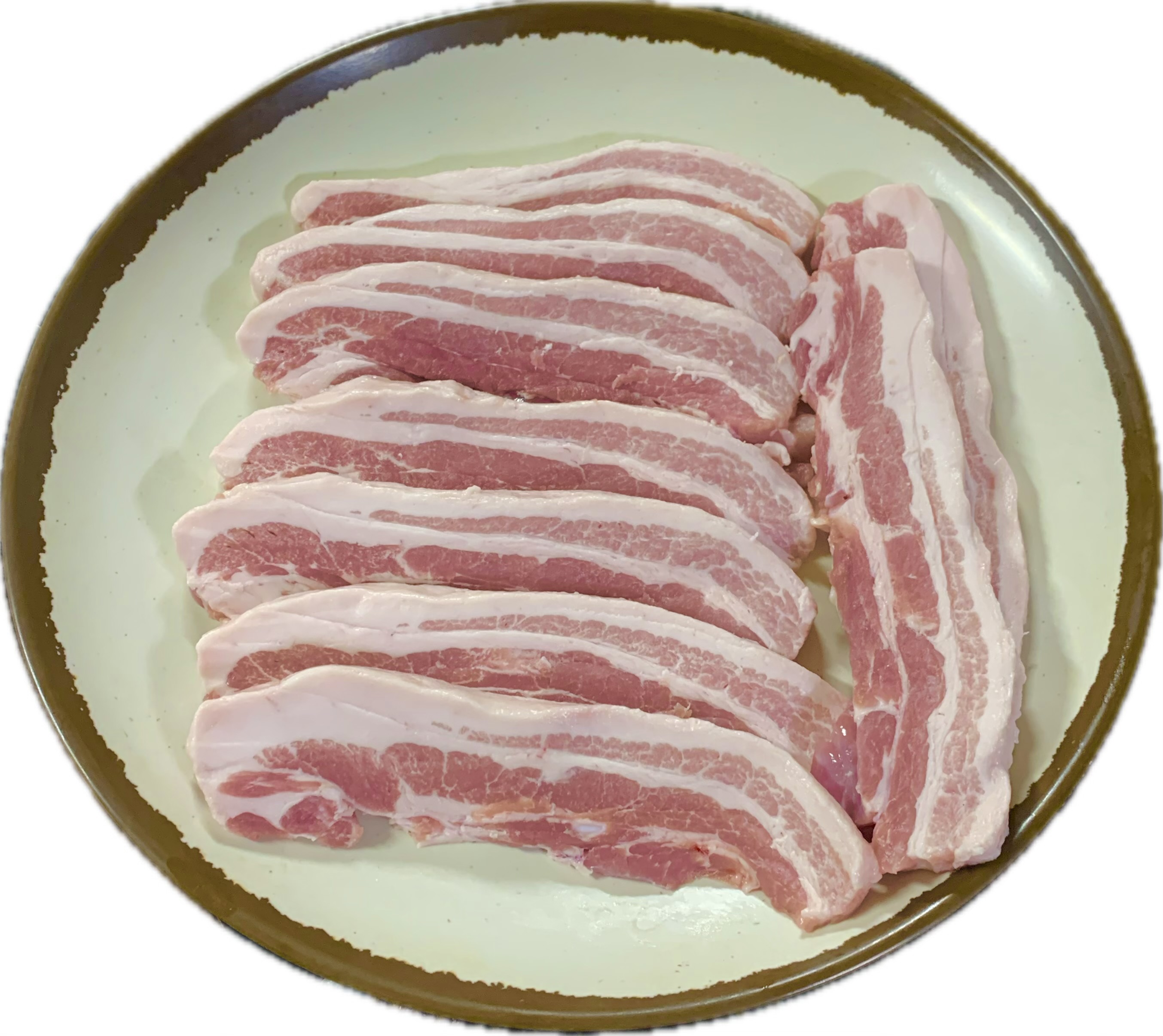 조은하루 충청 애견맛집