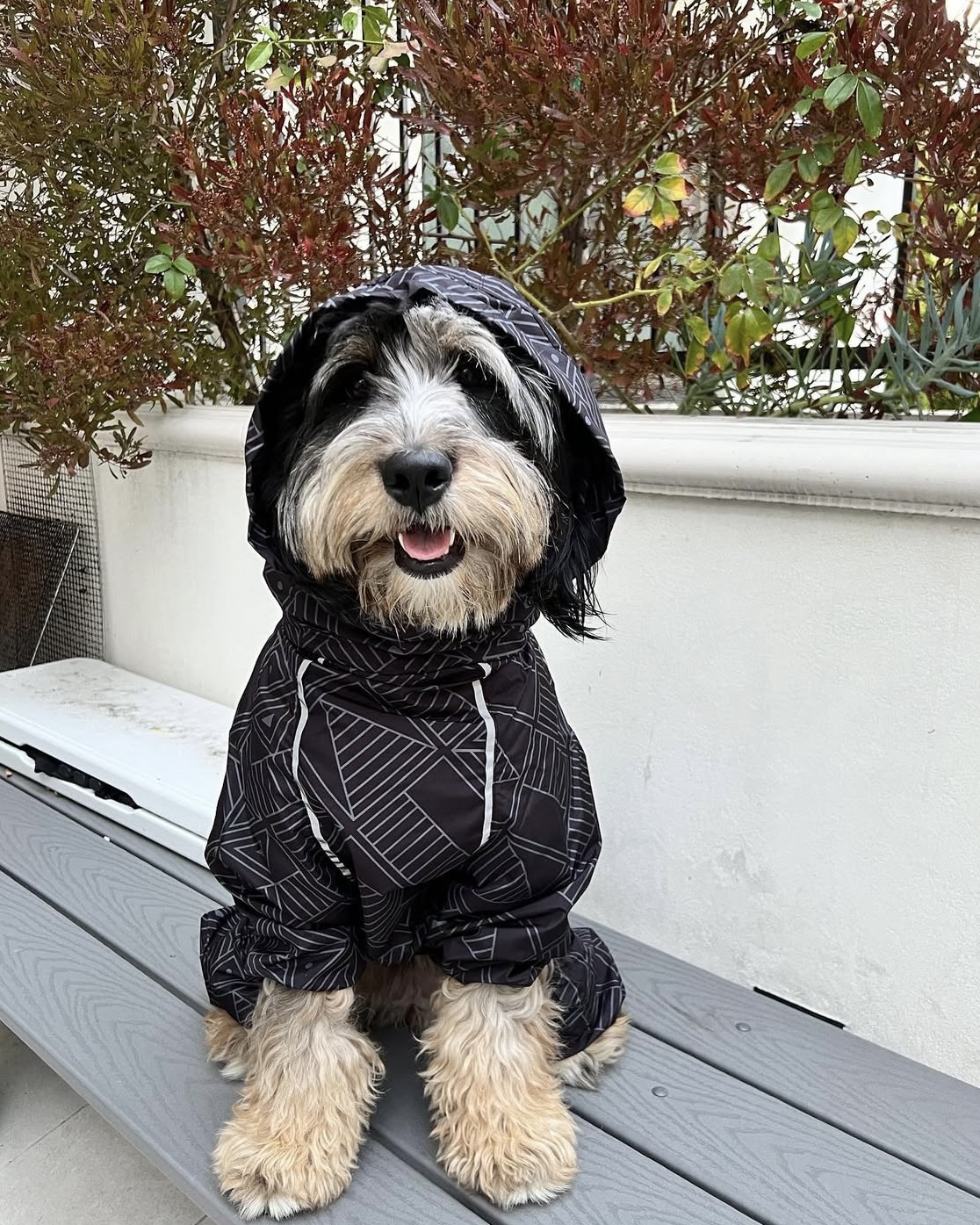 위글벗 대표 이미지