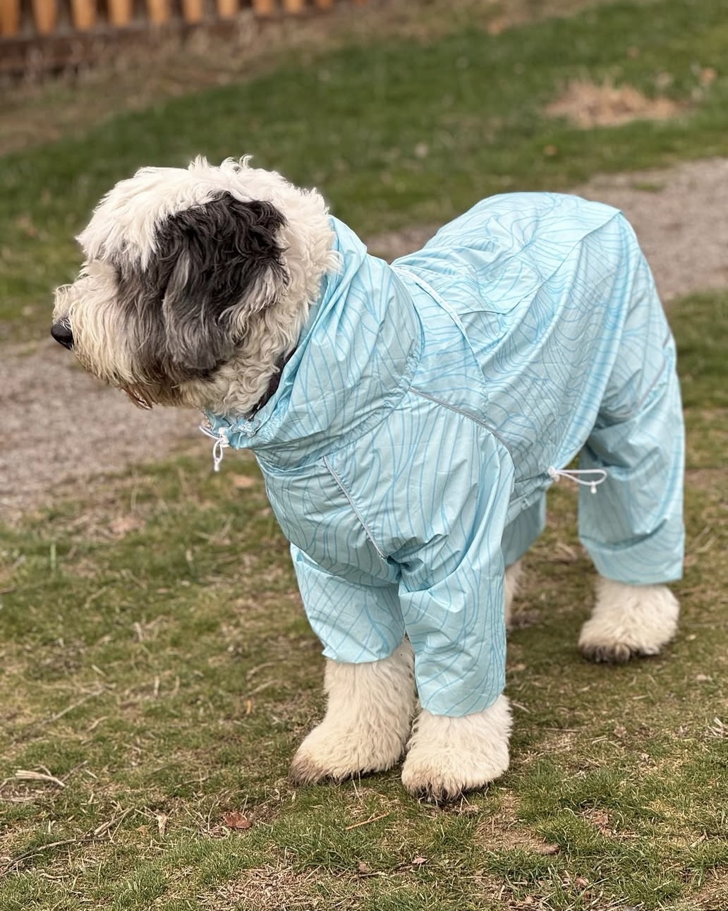 위글벗 대표 이미지