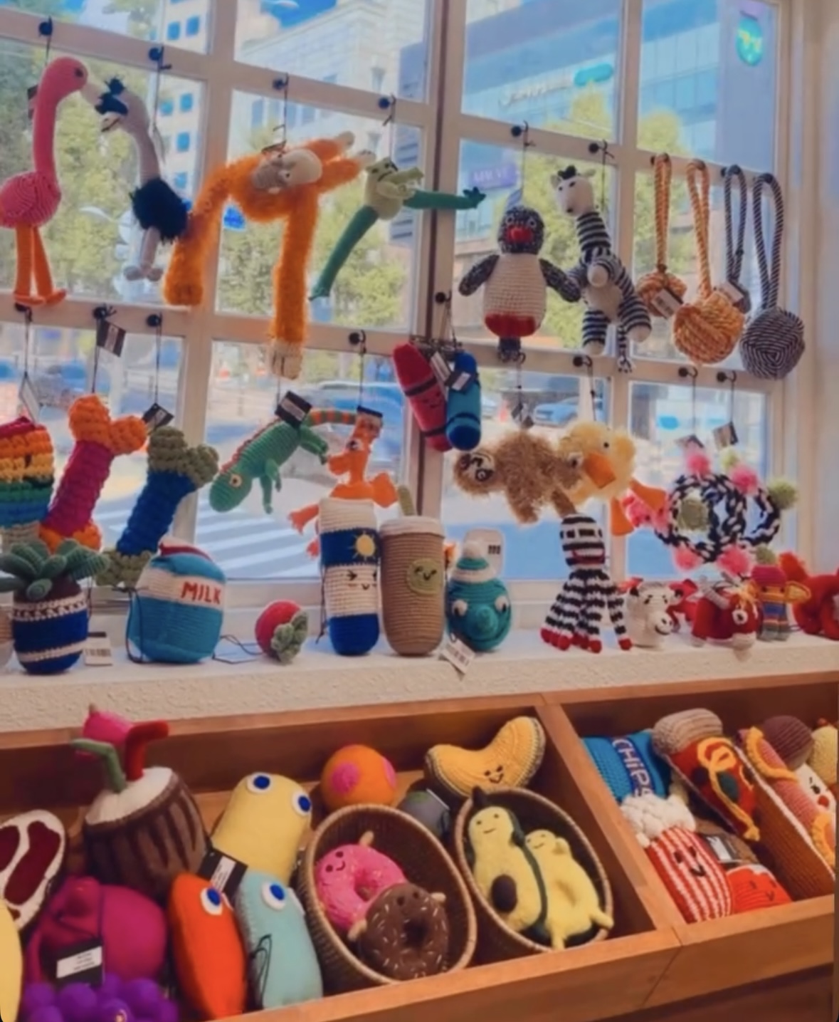 위글벗 대표 이미지