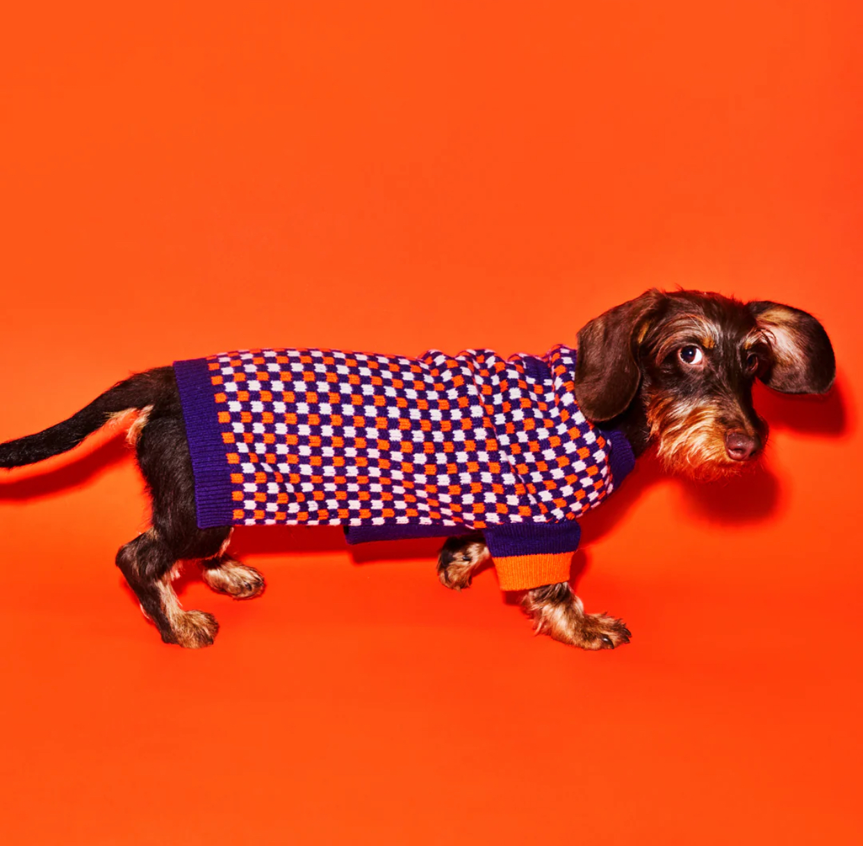 위글벗 대표 이미지