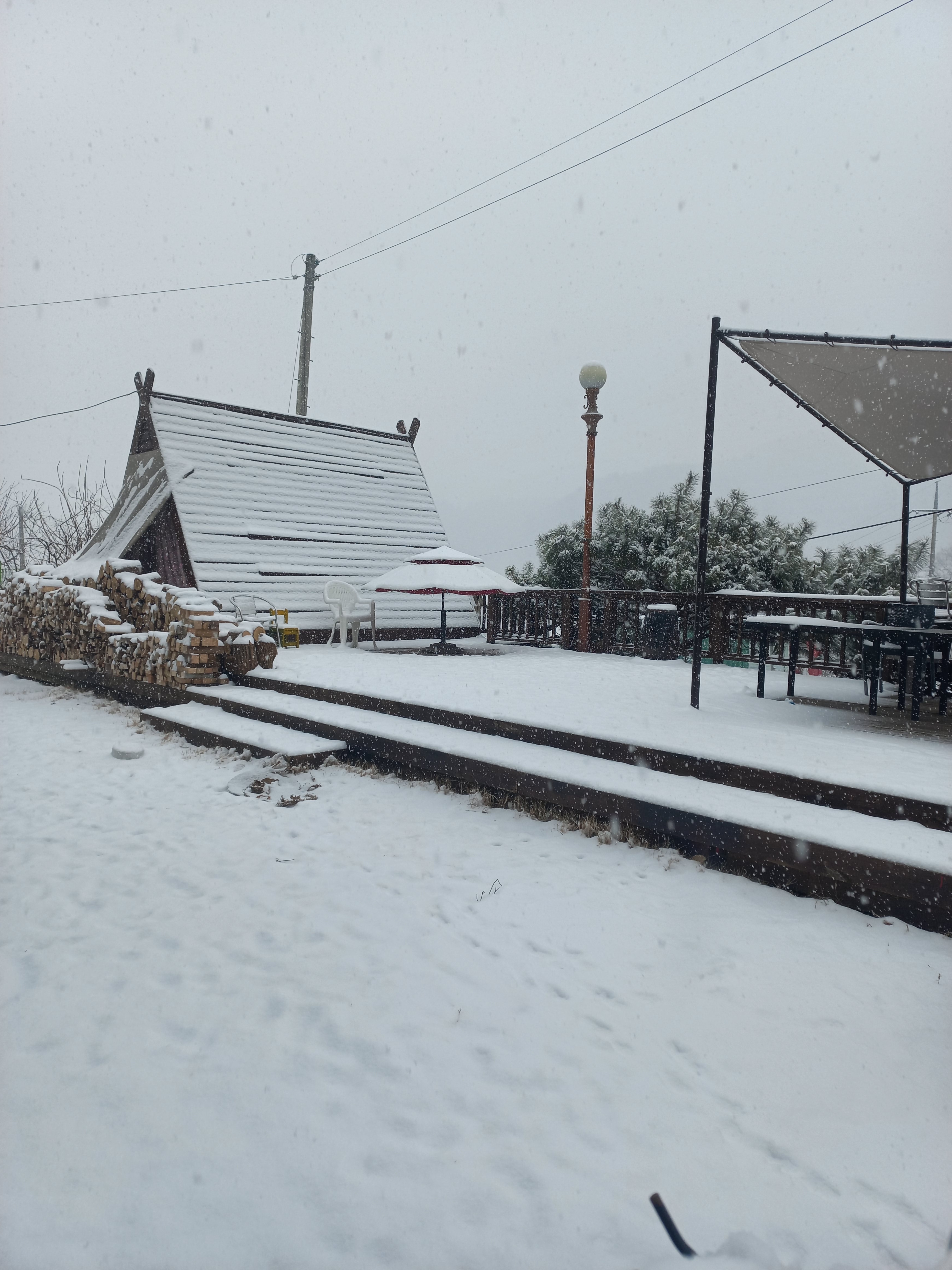 나폴리 피자 파스타