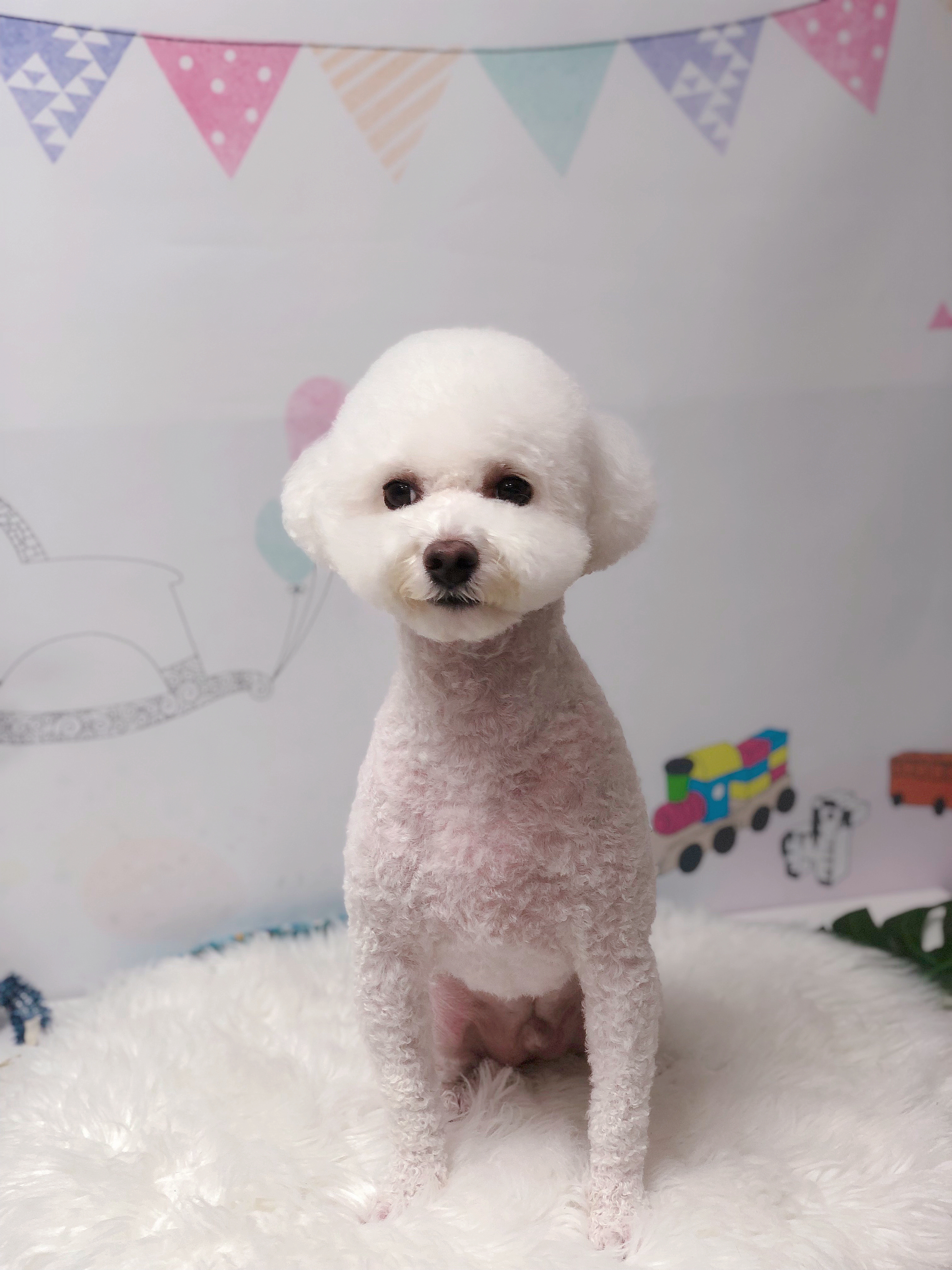 멍블리 대표 이미지