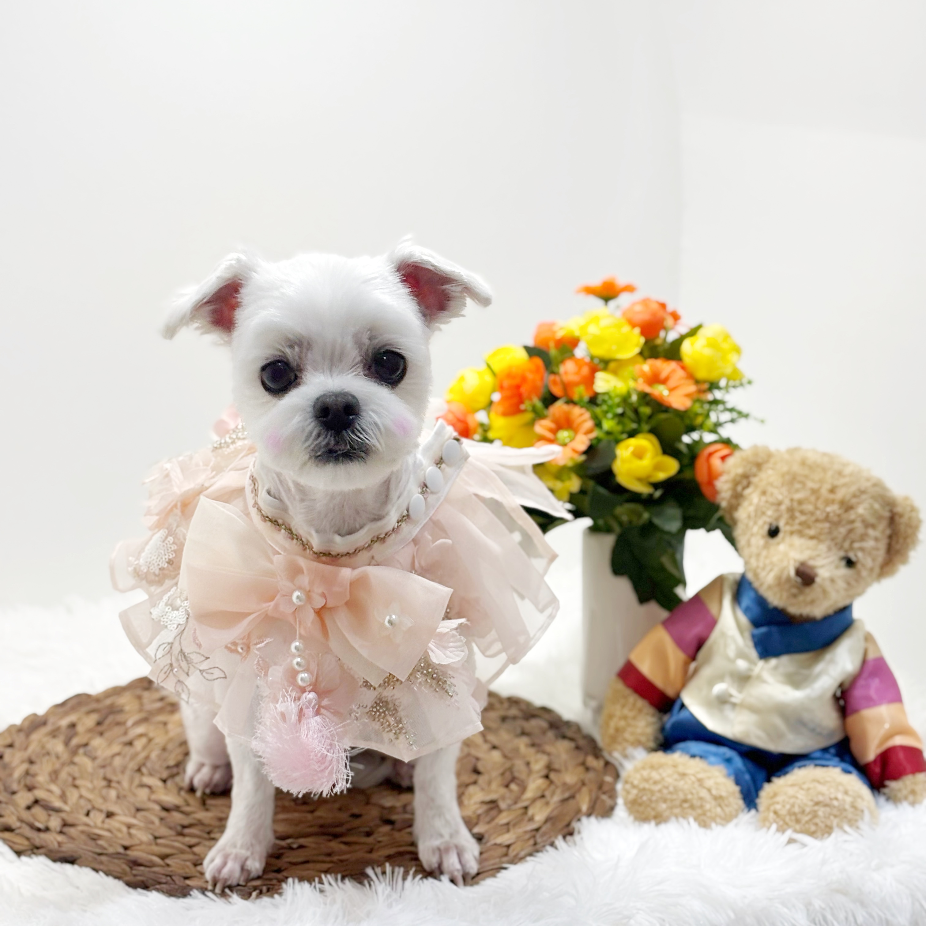 무드그루밍 대표 이미지