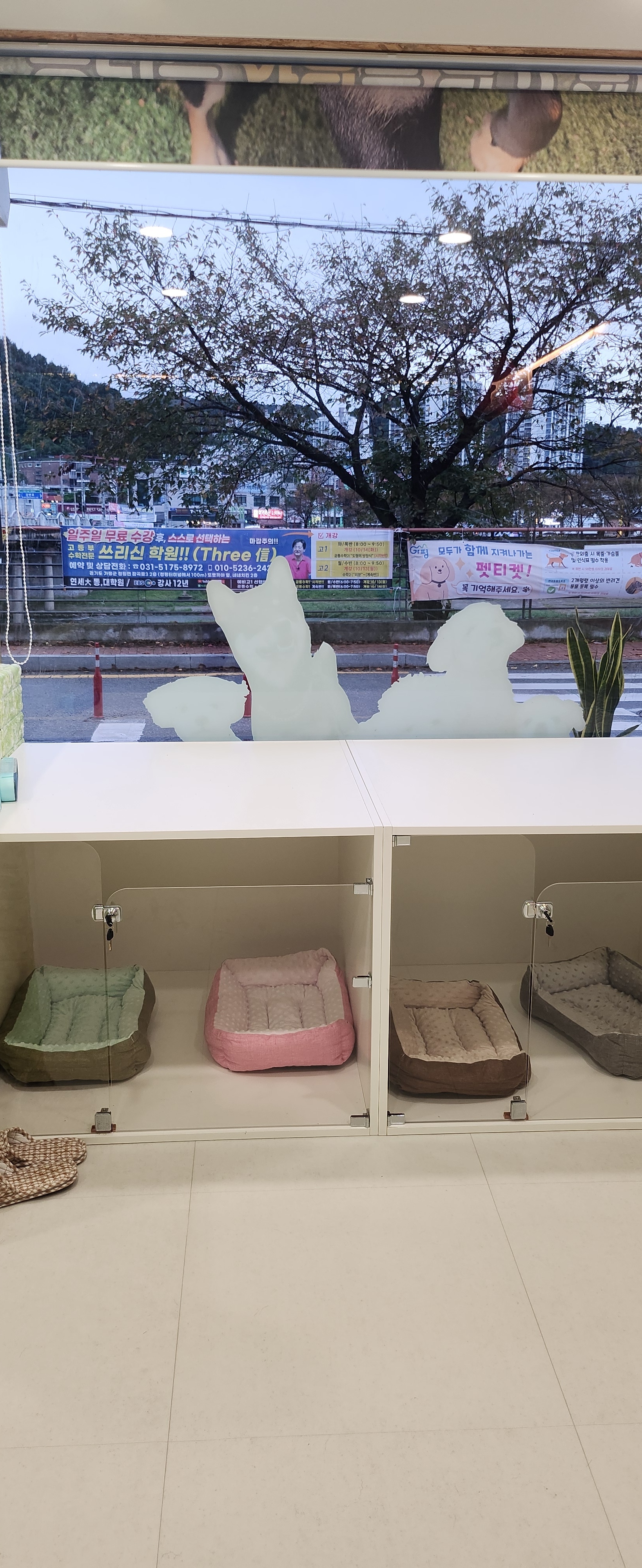 블루펫 대표 이미지