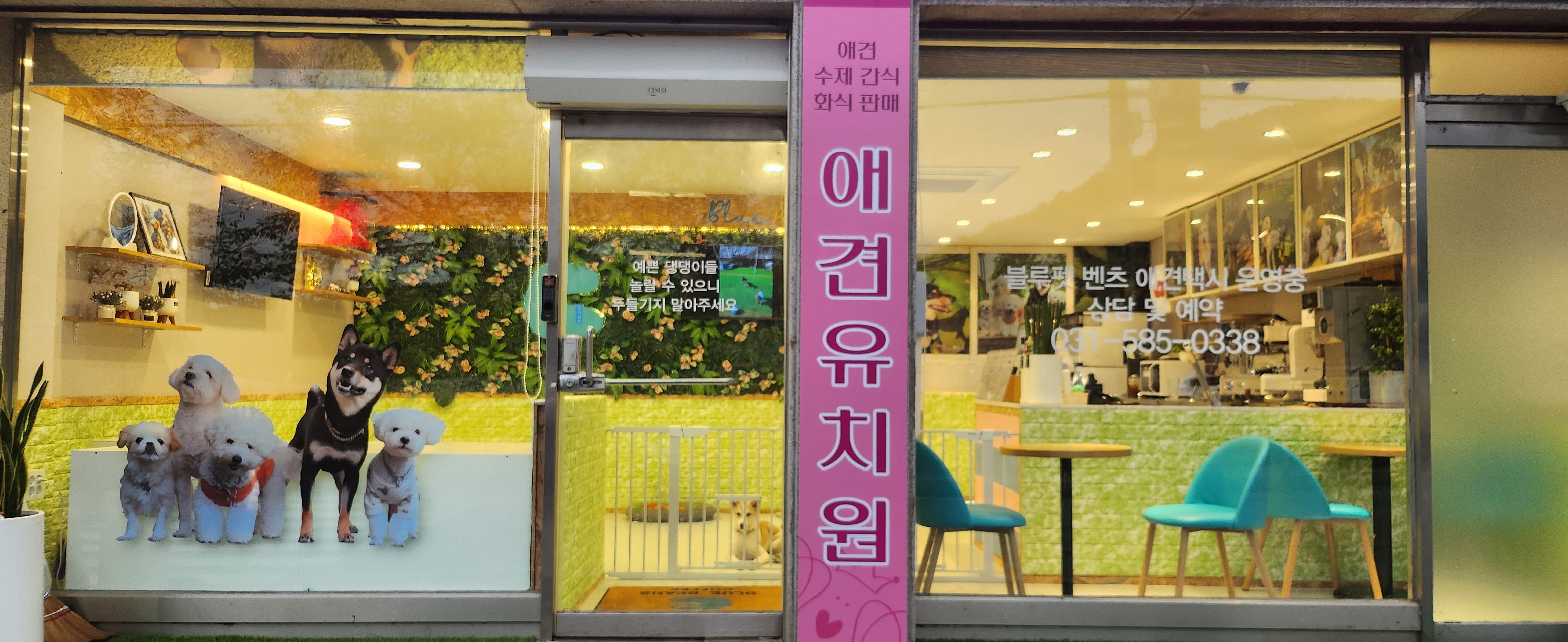 블루펫 대표 이미지