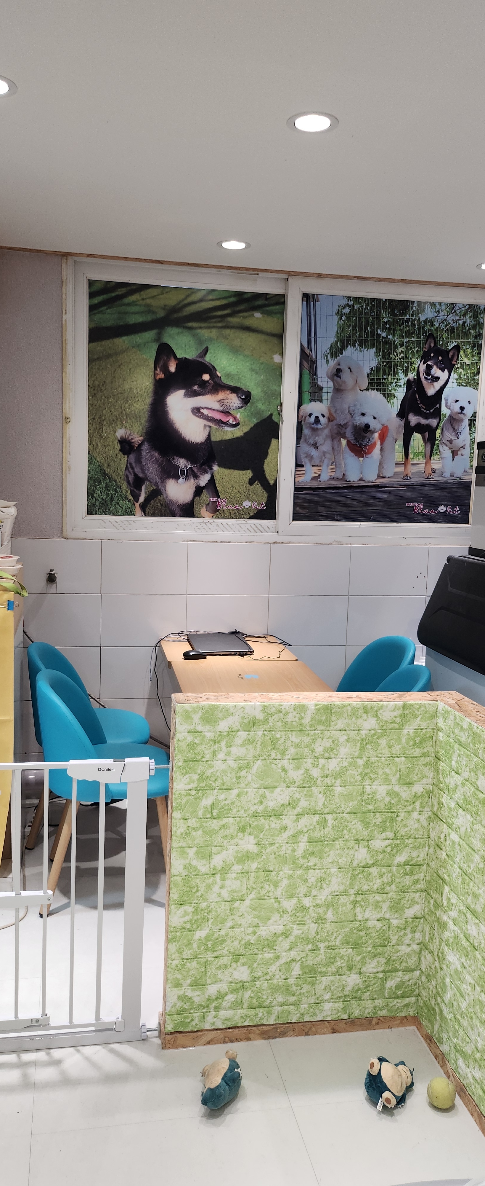 블루펫 대표 이미지