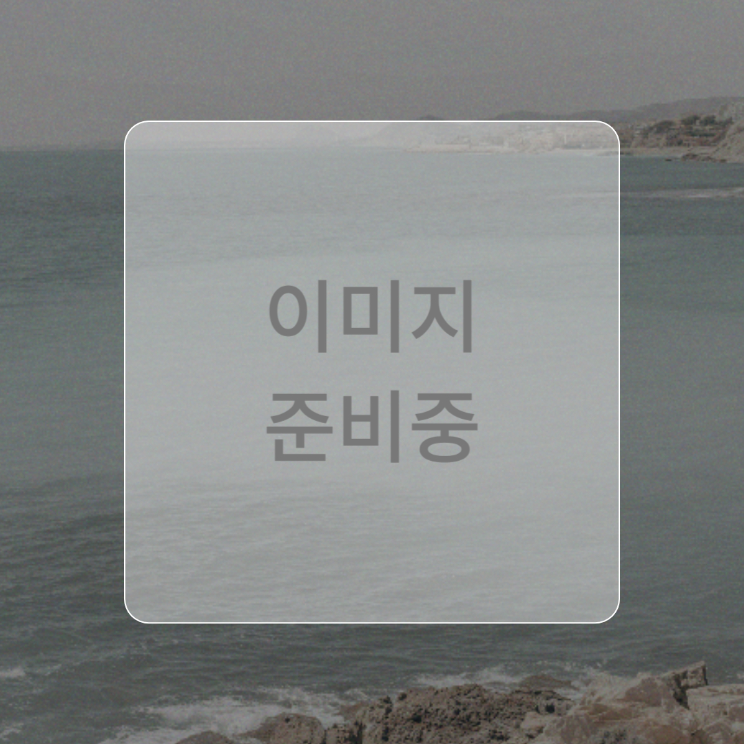도리앤도리스 서울 애견맛집