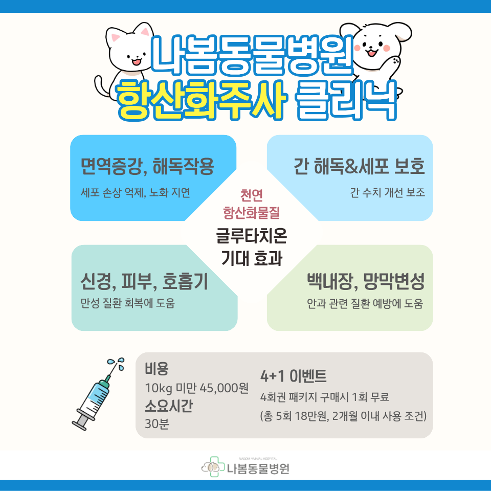 나봄동물병원 대표 이미지