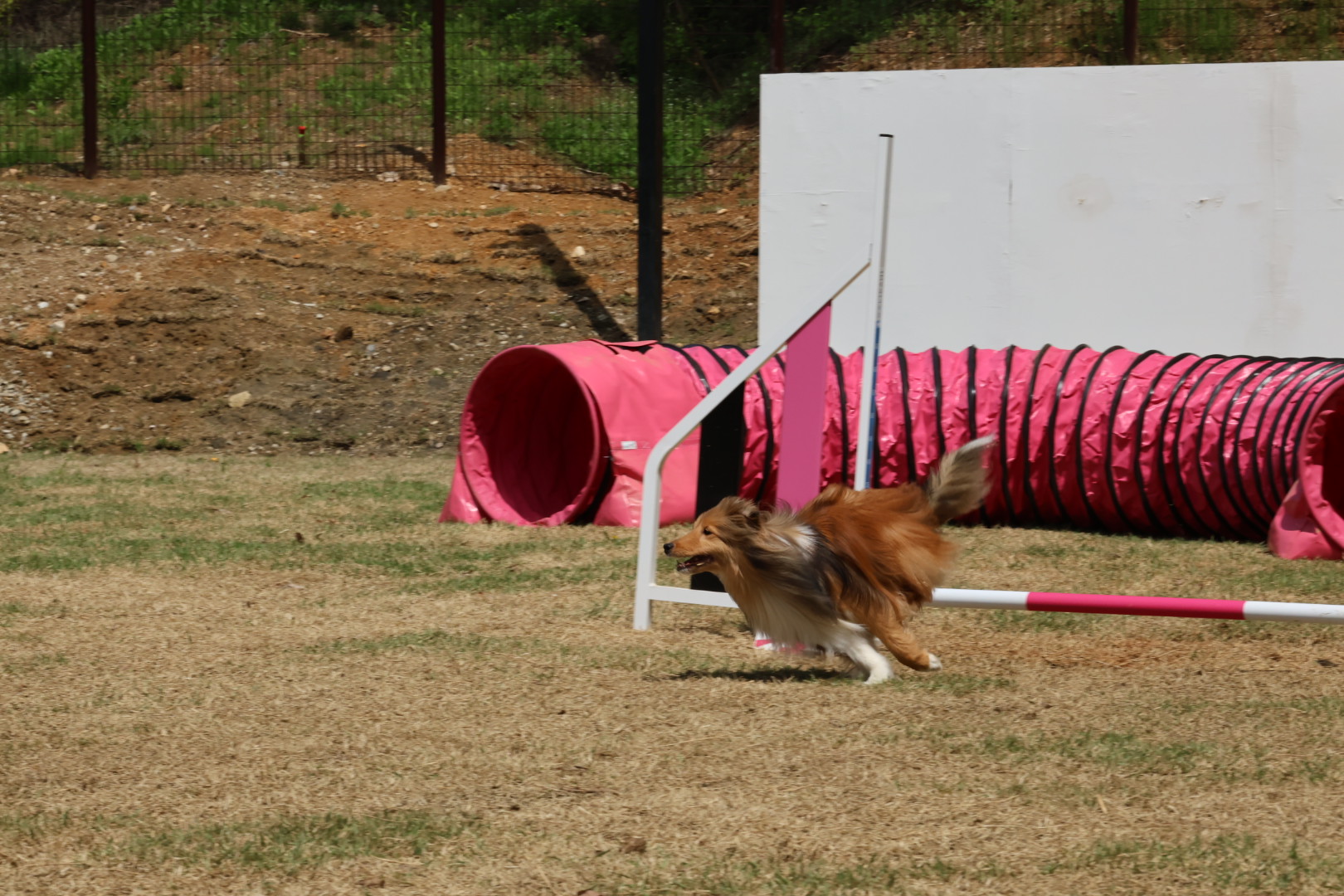 테일45 대표 이미지