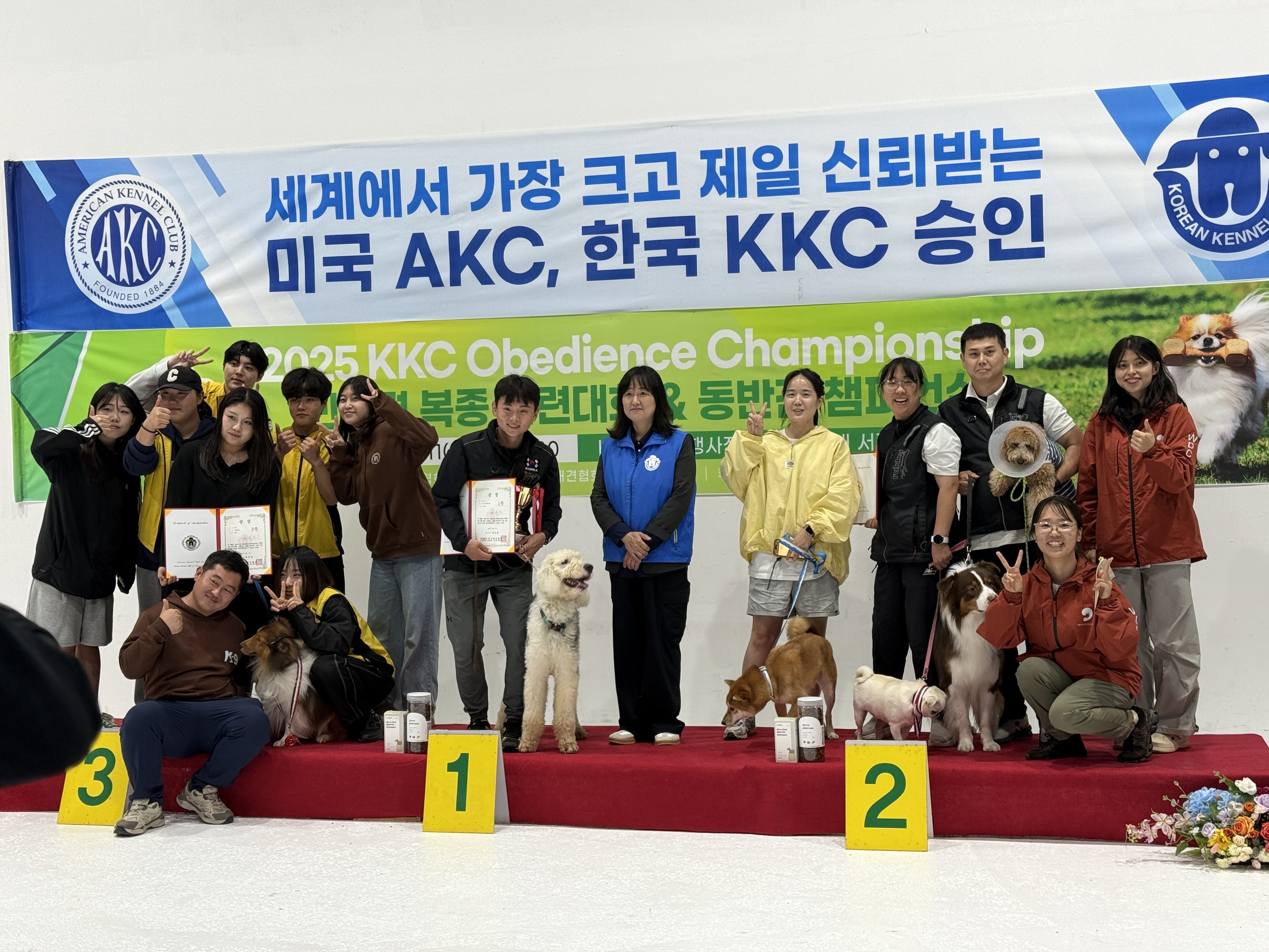 도그라운지 대표 이미지