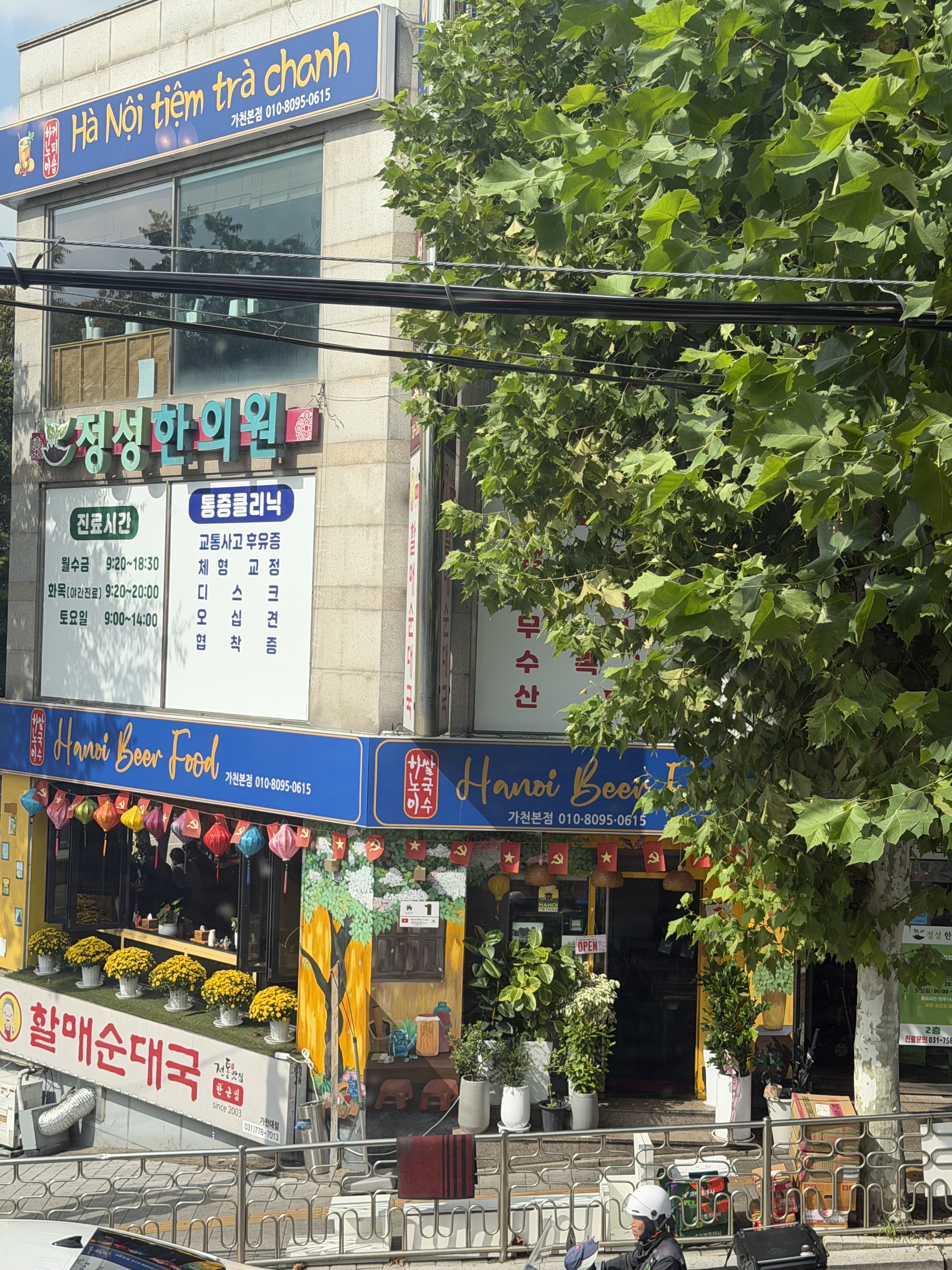 하노이쌀국수