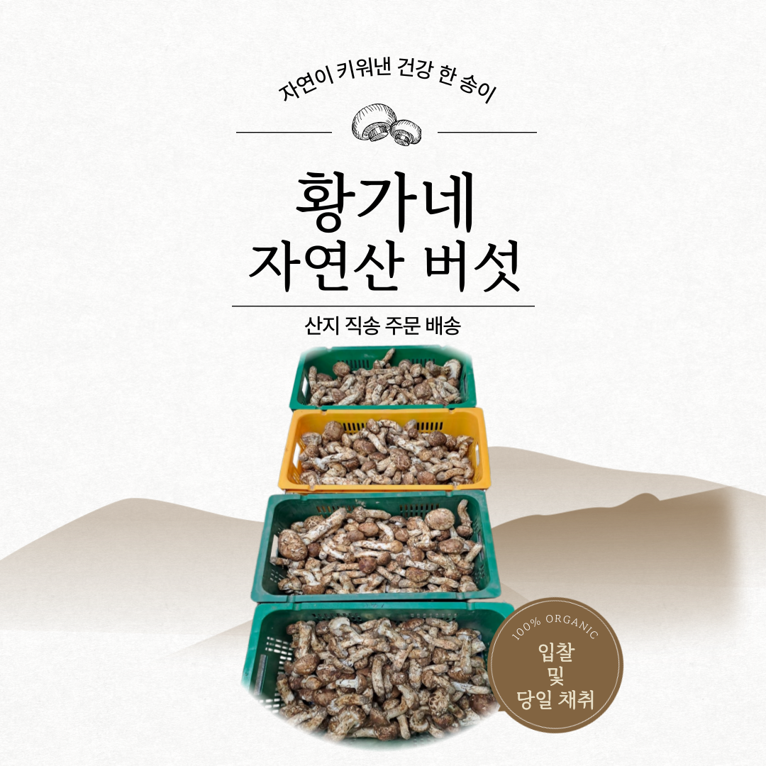 속리산황가네자연산버섯요리