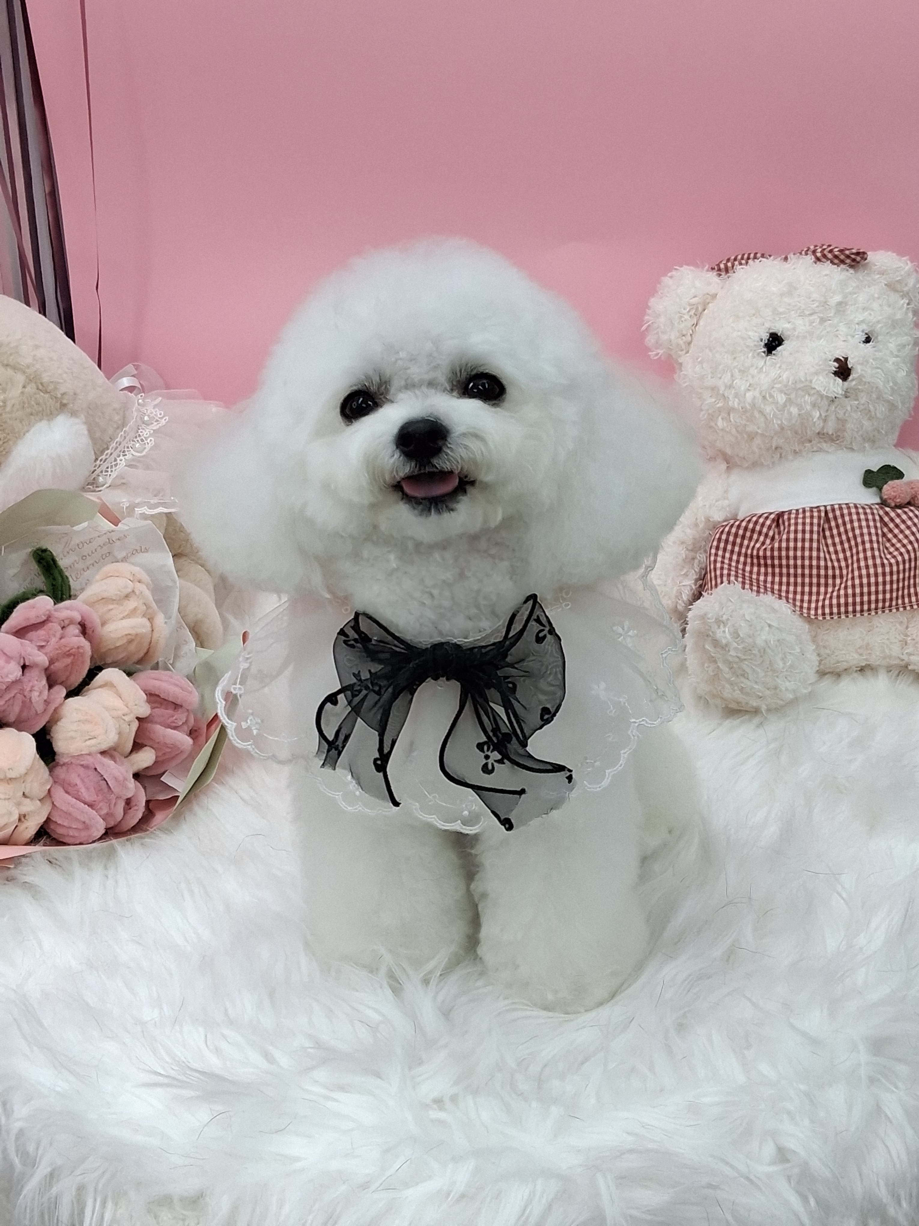 댕구름살롱 대표 이미지