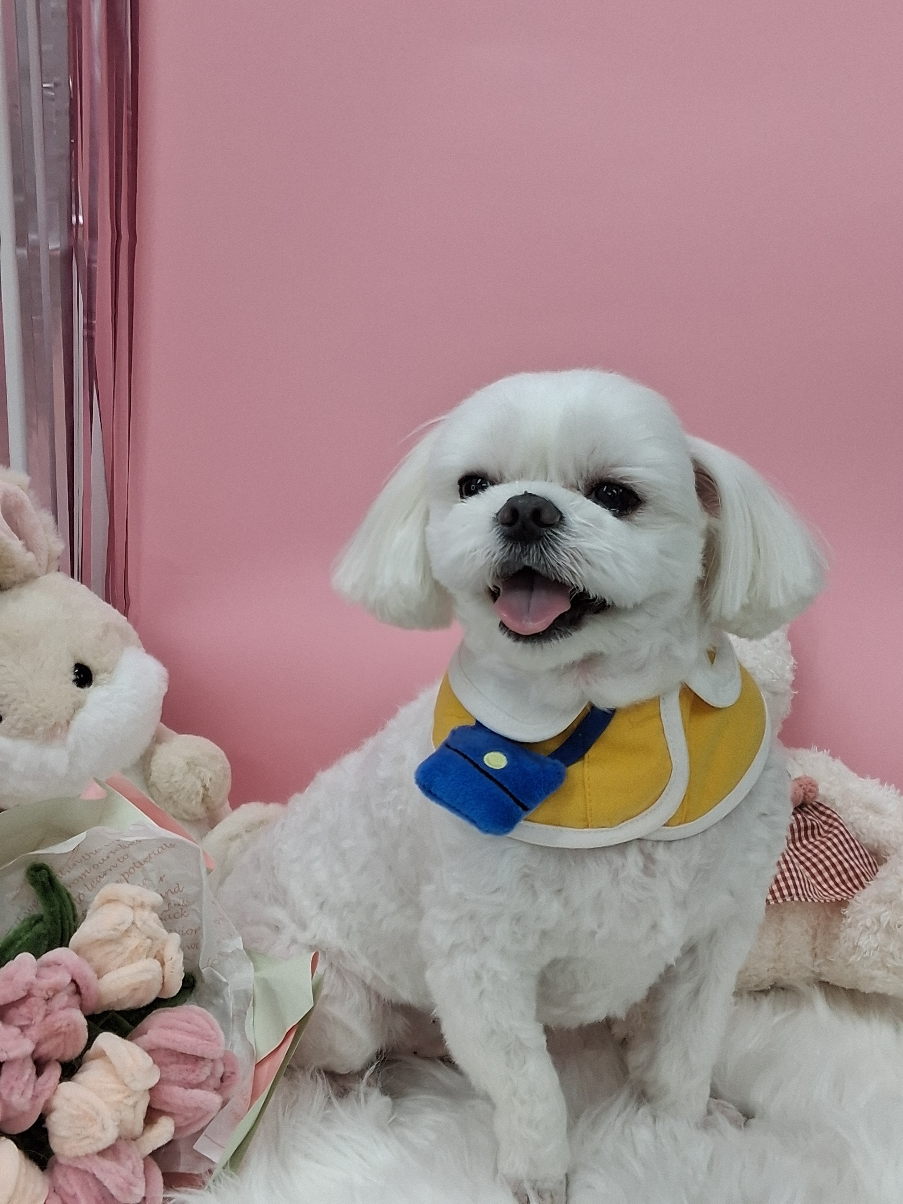 댕구름살롱 대표 이미지