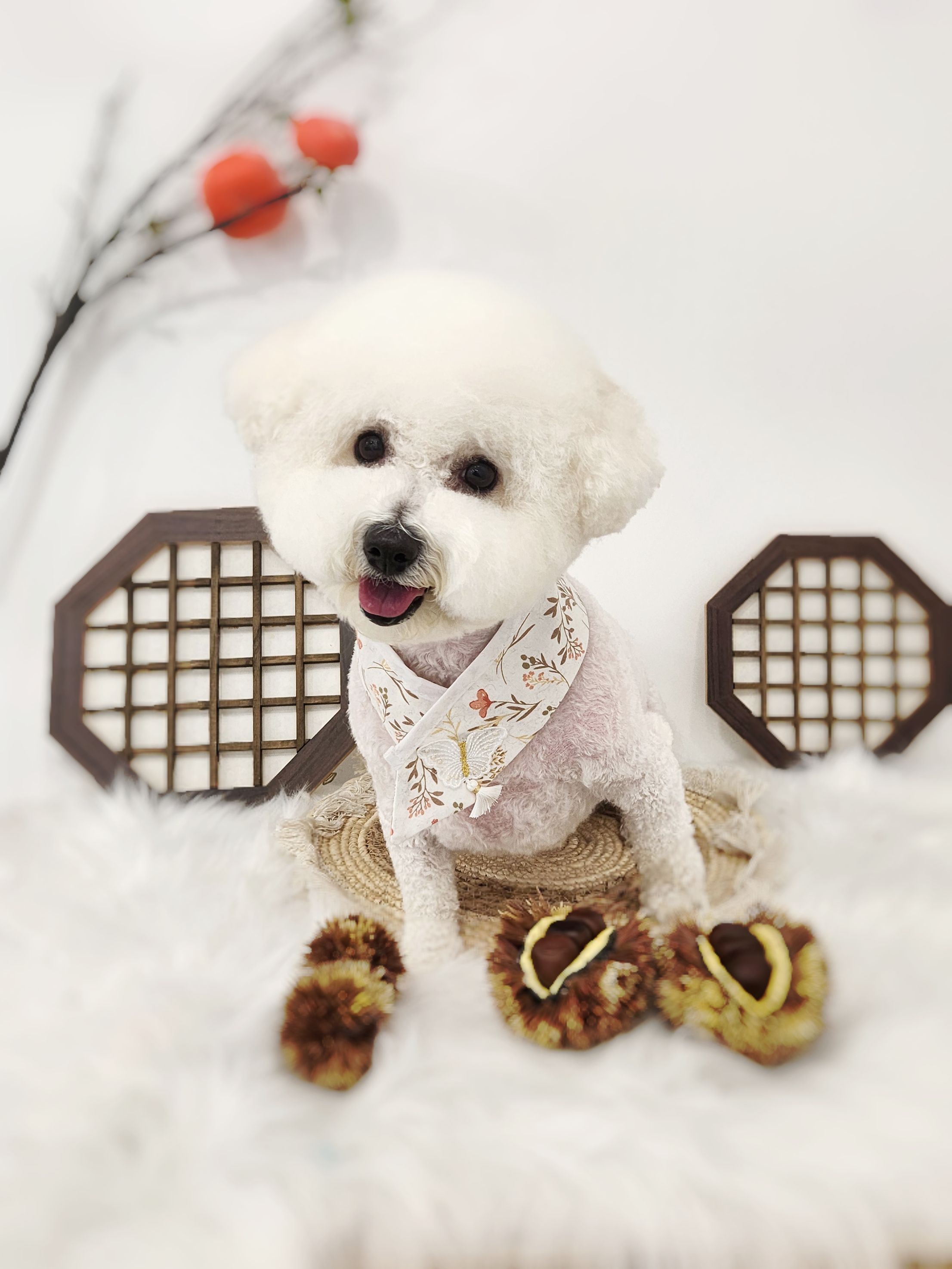 네이처펫 대표 이미지