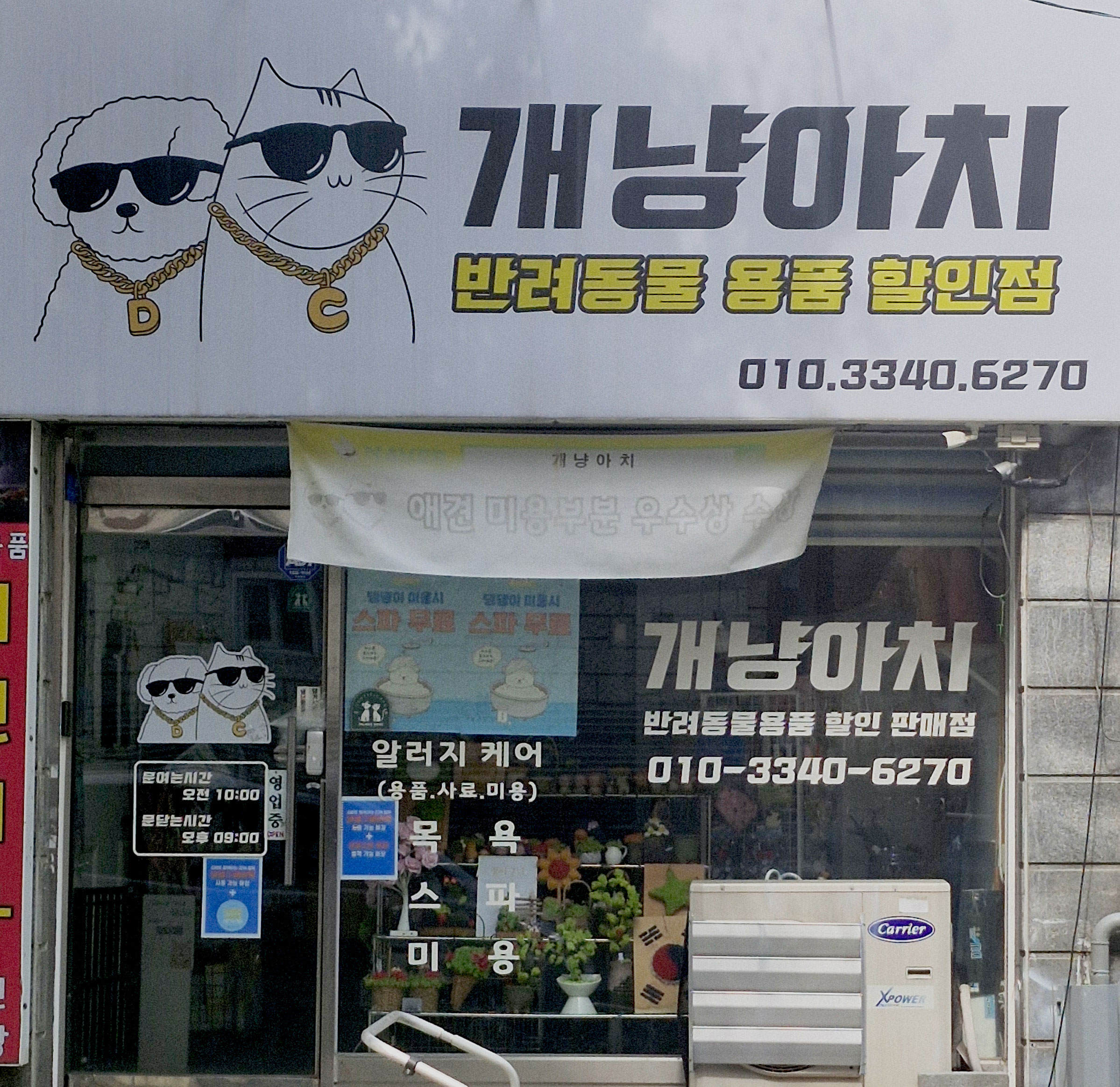 개냥아치 대표 이미지