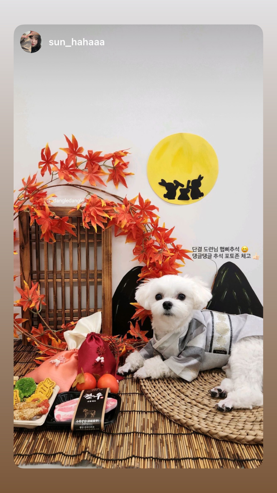 댕글댕글유치원 대표 이미지