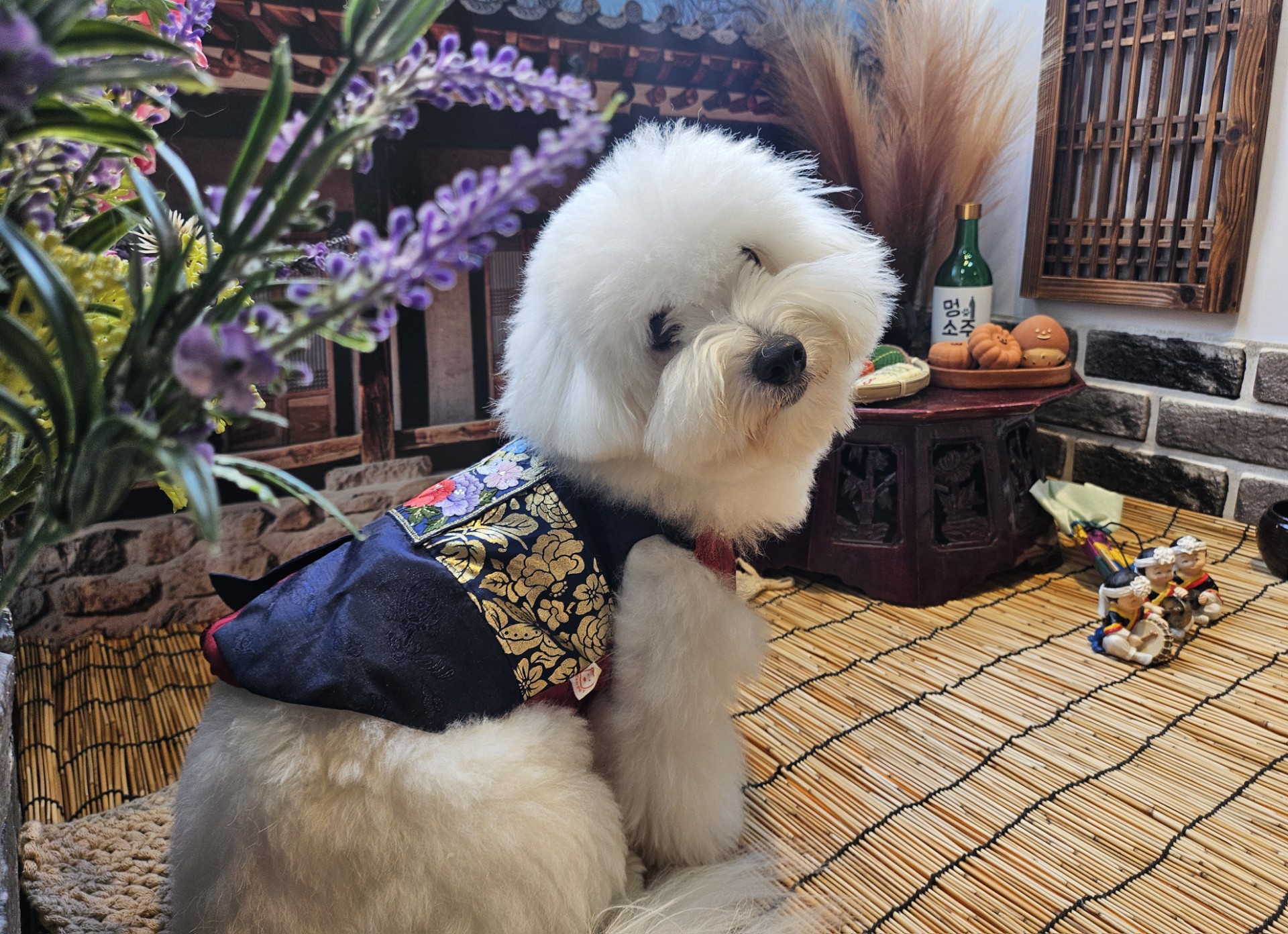 사진 3