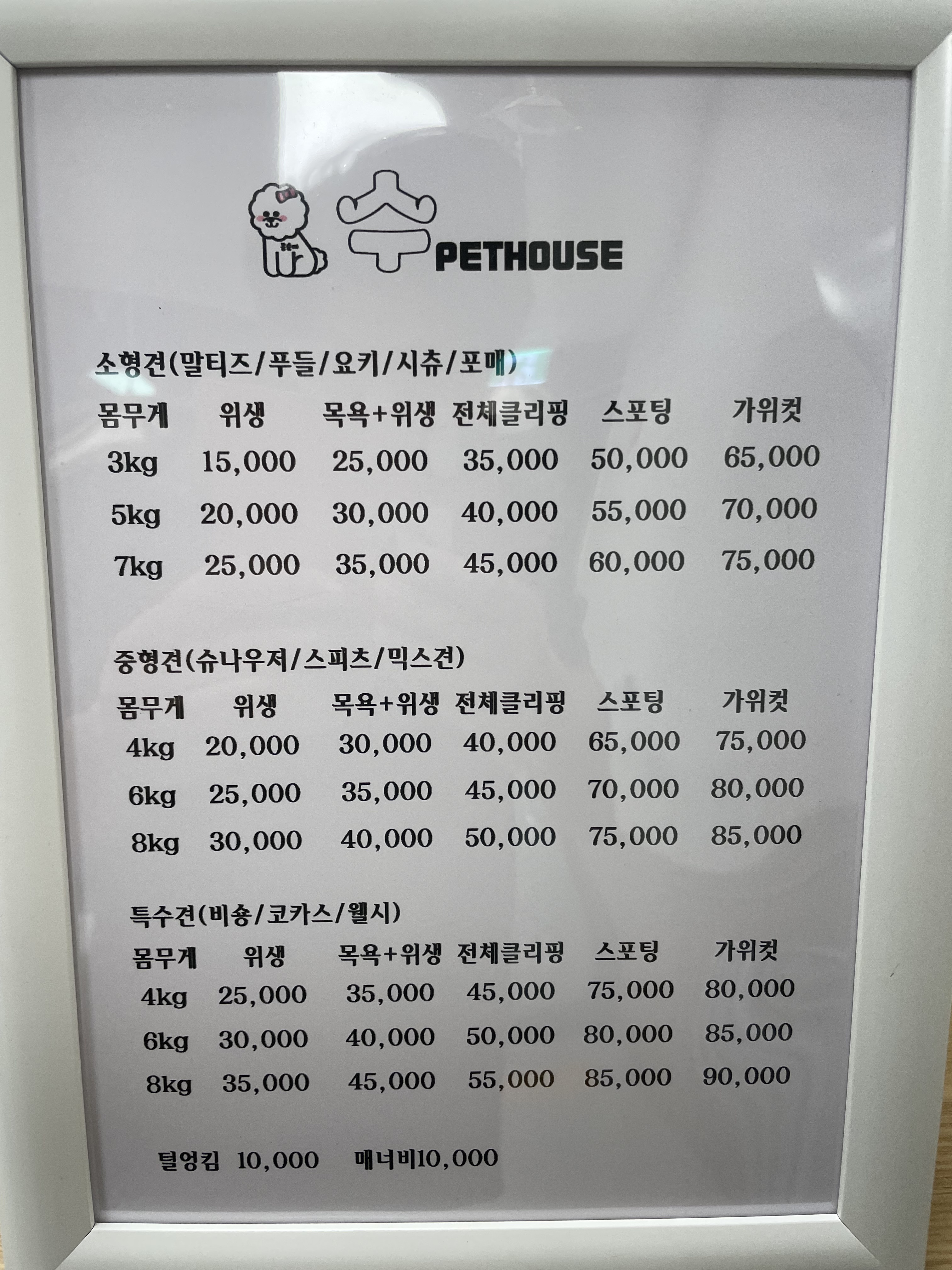 수애견샵 대표 이미지
