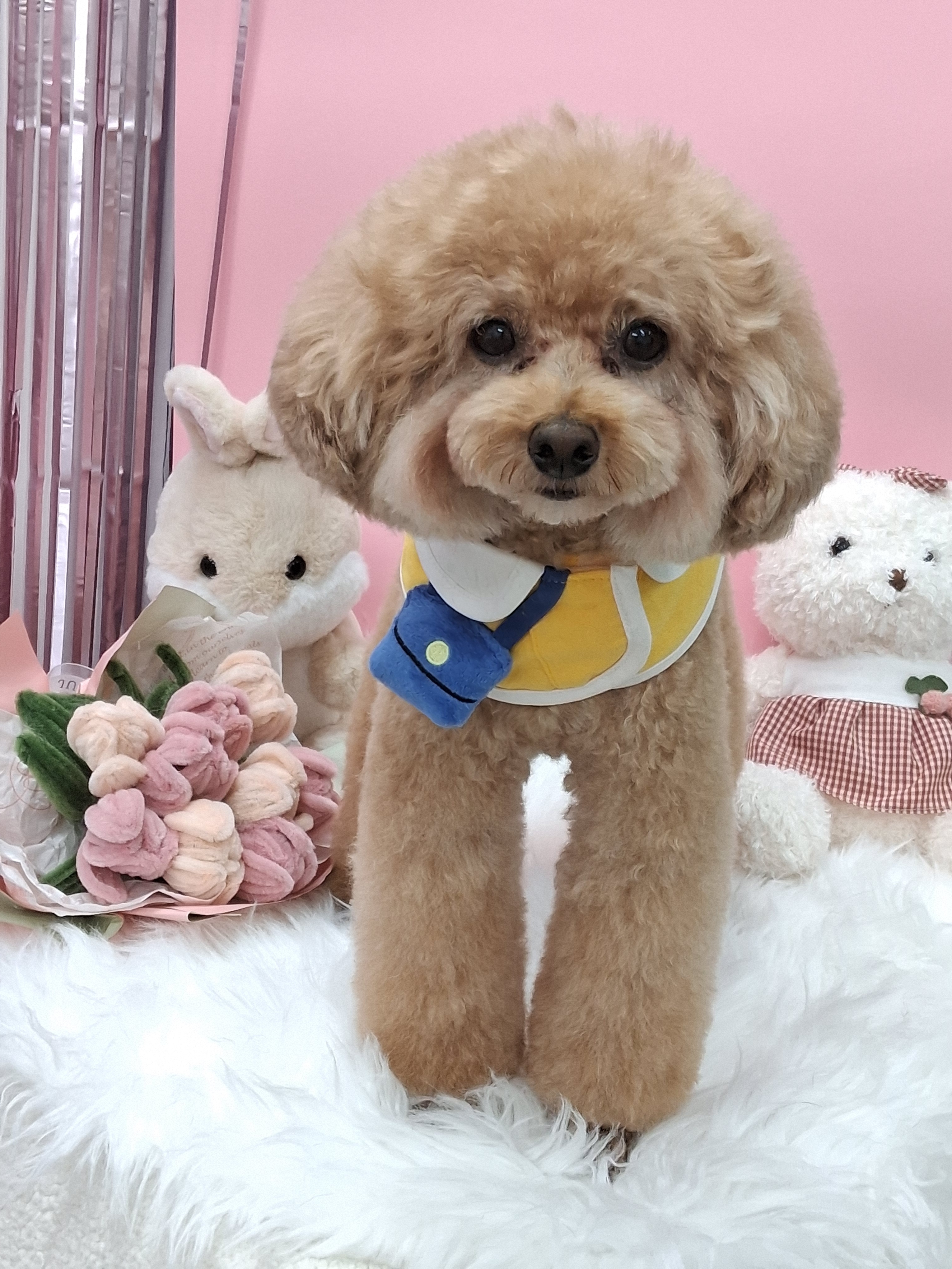 댕구름살롱 대표 이미지