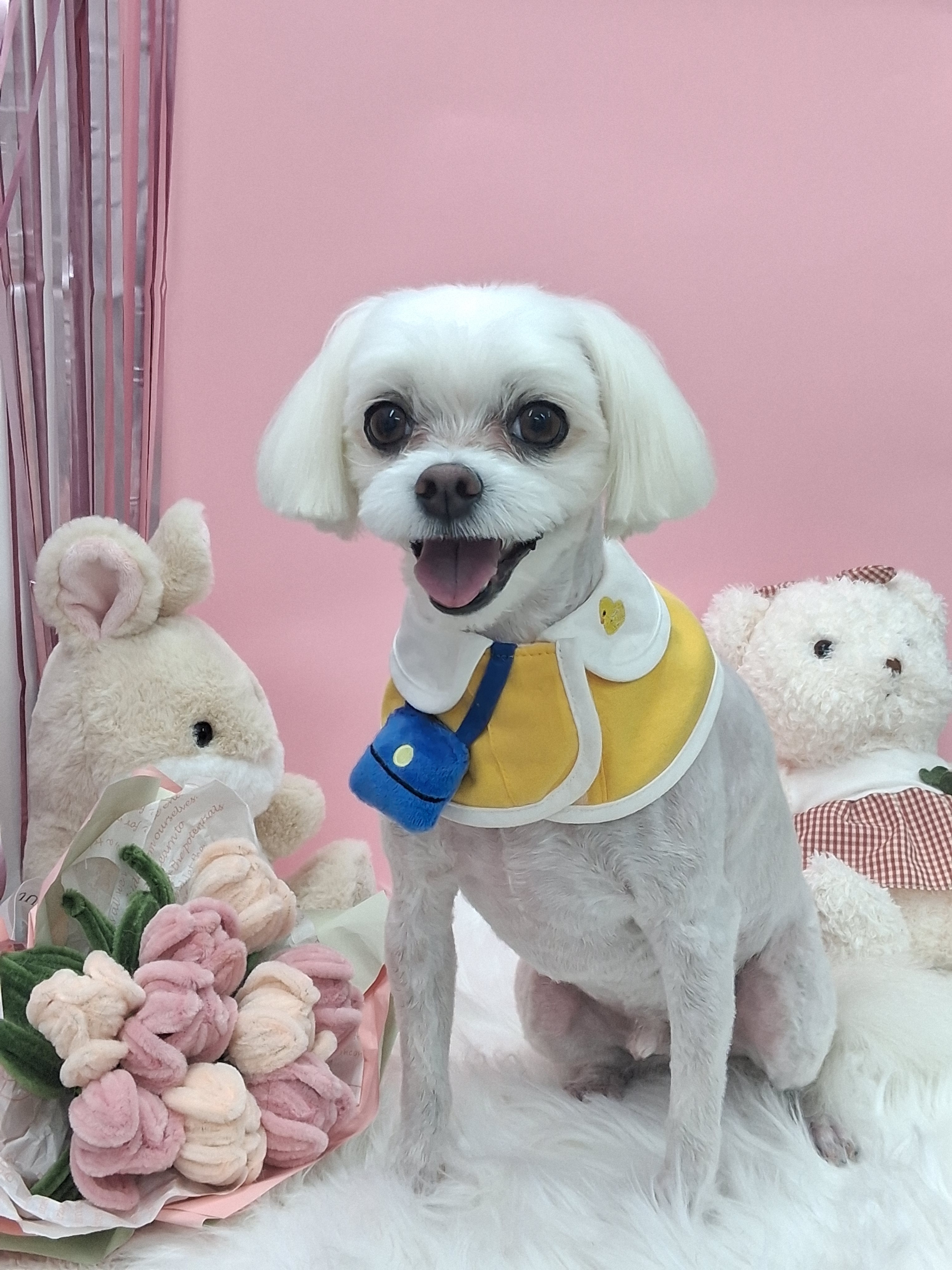 댕구름살롱 대표 이미지