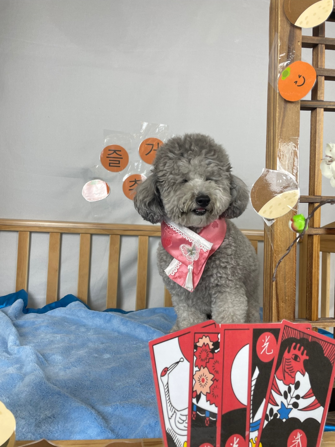 개좋아 애견호텔 대표 이미지