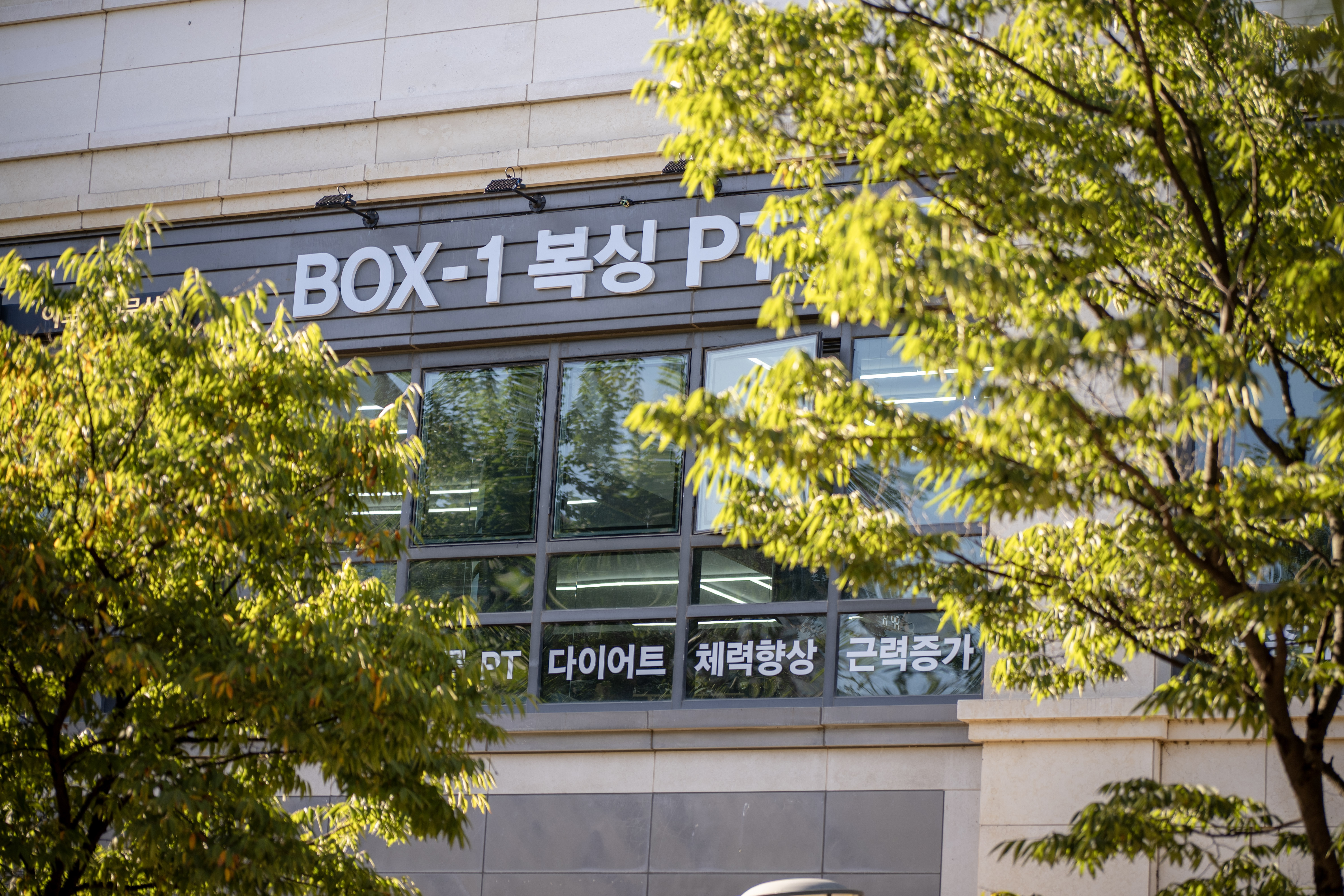 경기도 고양시 일산서구 복싱체육관 박스원복싱 PT 킨텍스 피지컬 펑셔널 다이어트 내부 모습 4