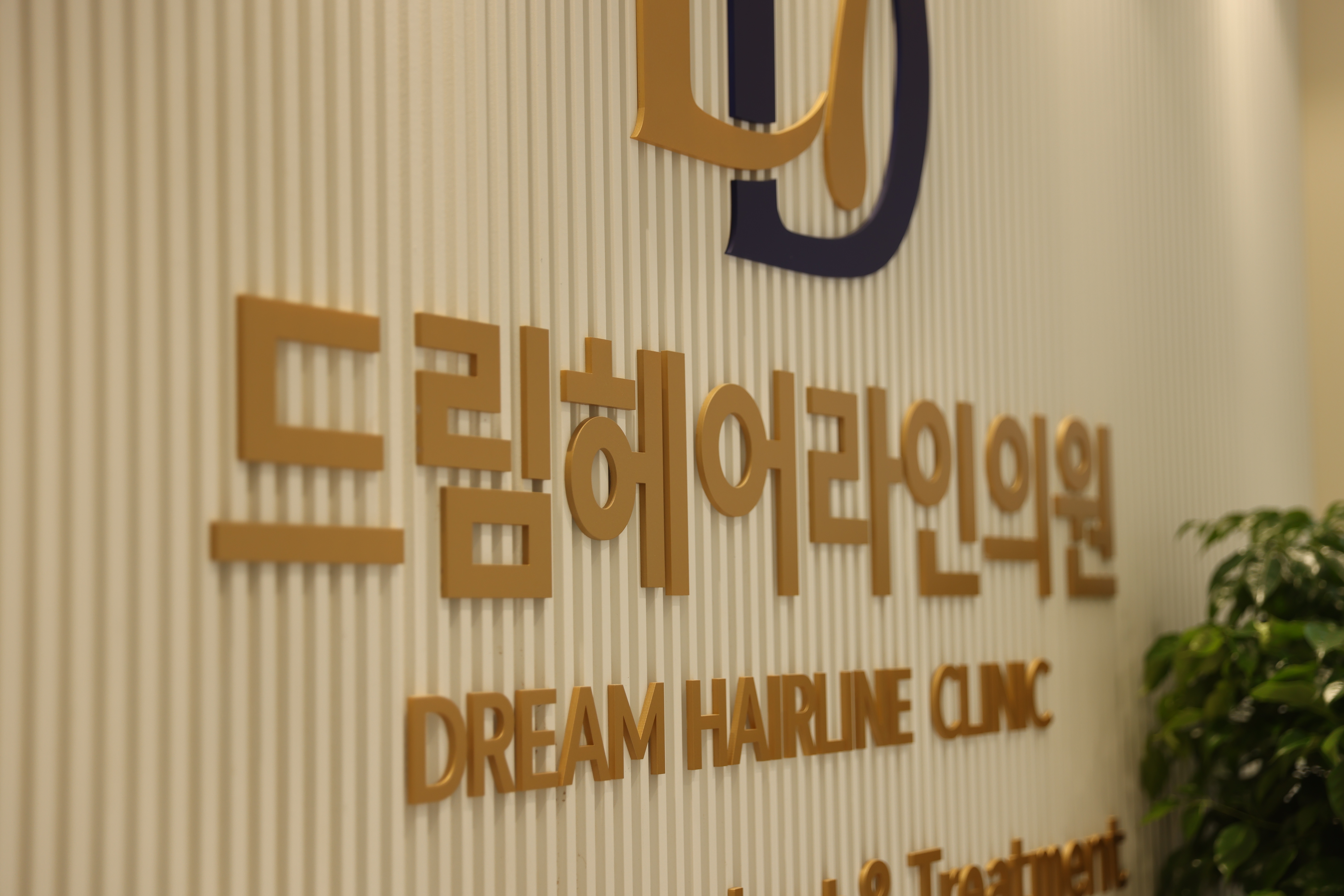 드림헤어라인의원 대표 이미지