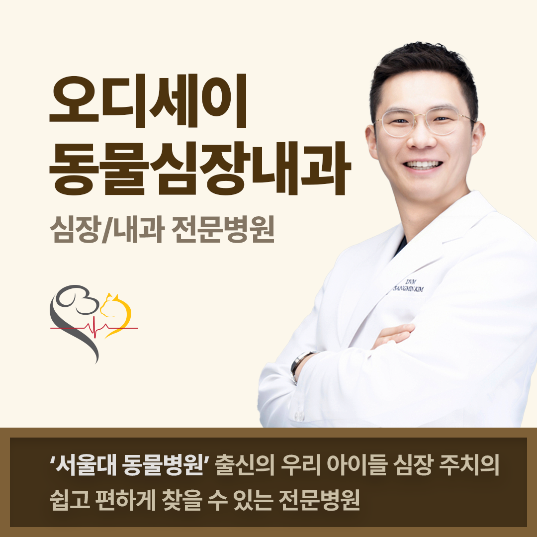 오디세이동물심장내과 대표 이미지