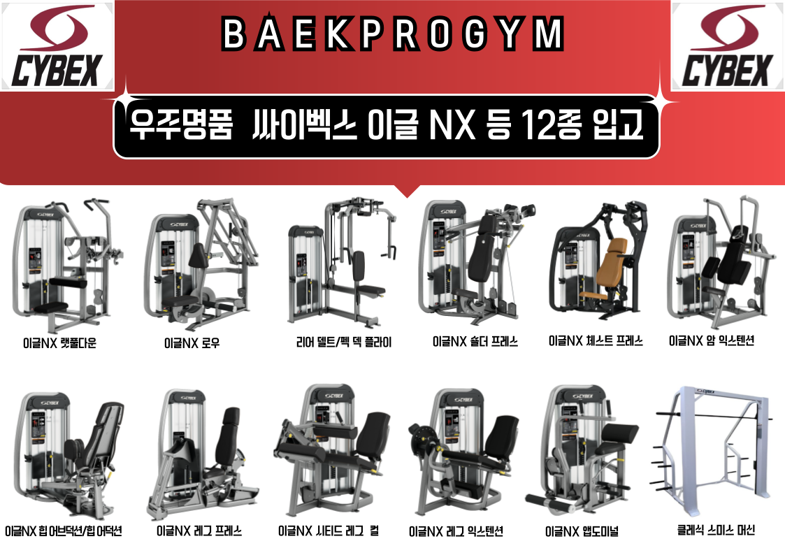 백프로짐 압구정점 사진 2