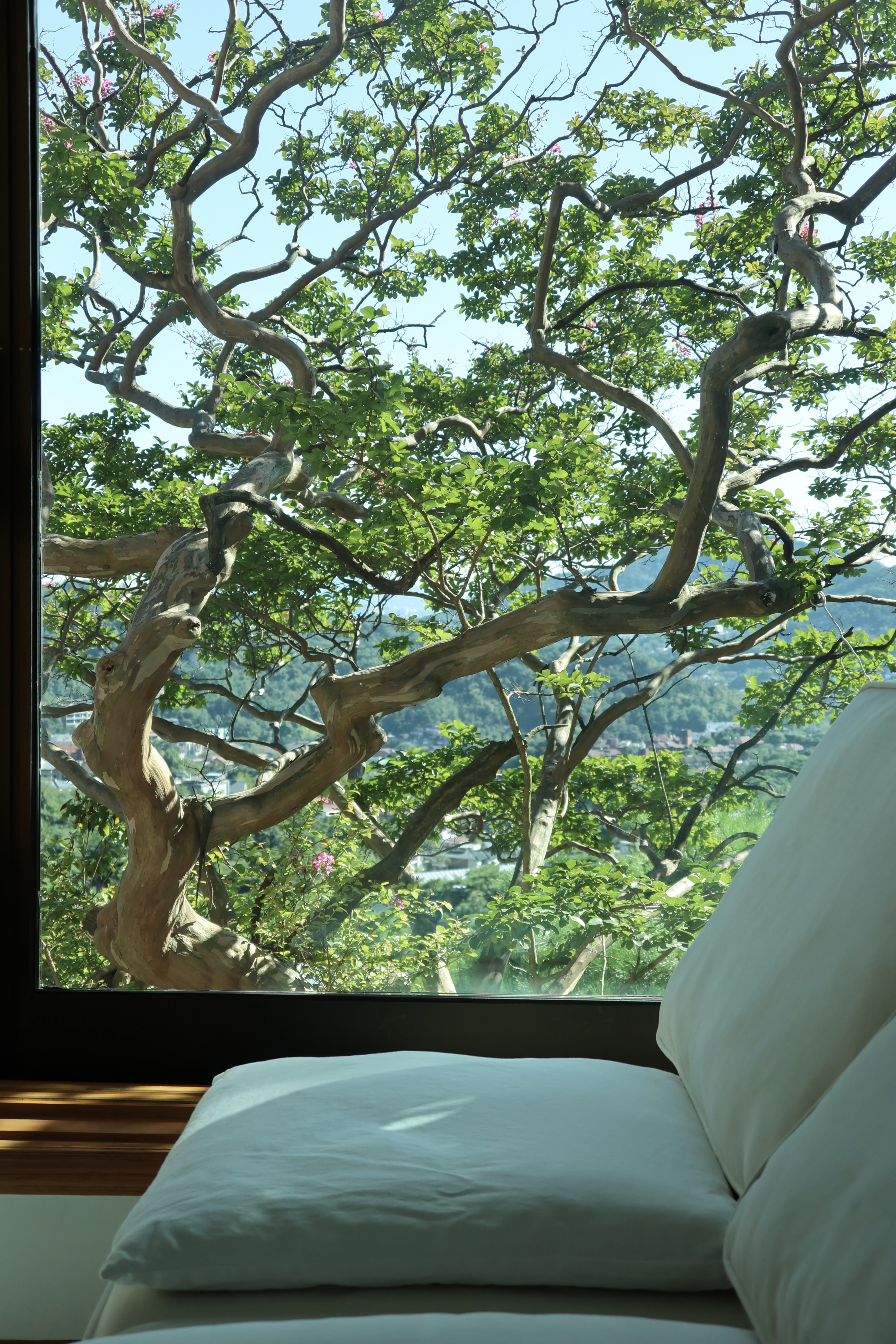 소함재 서울 대표 이미지