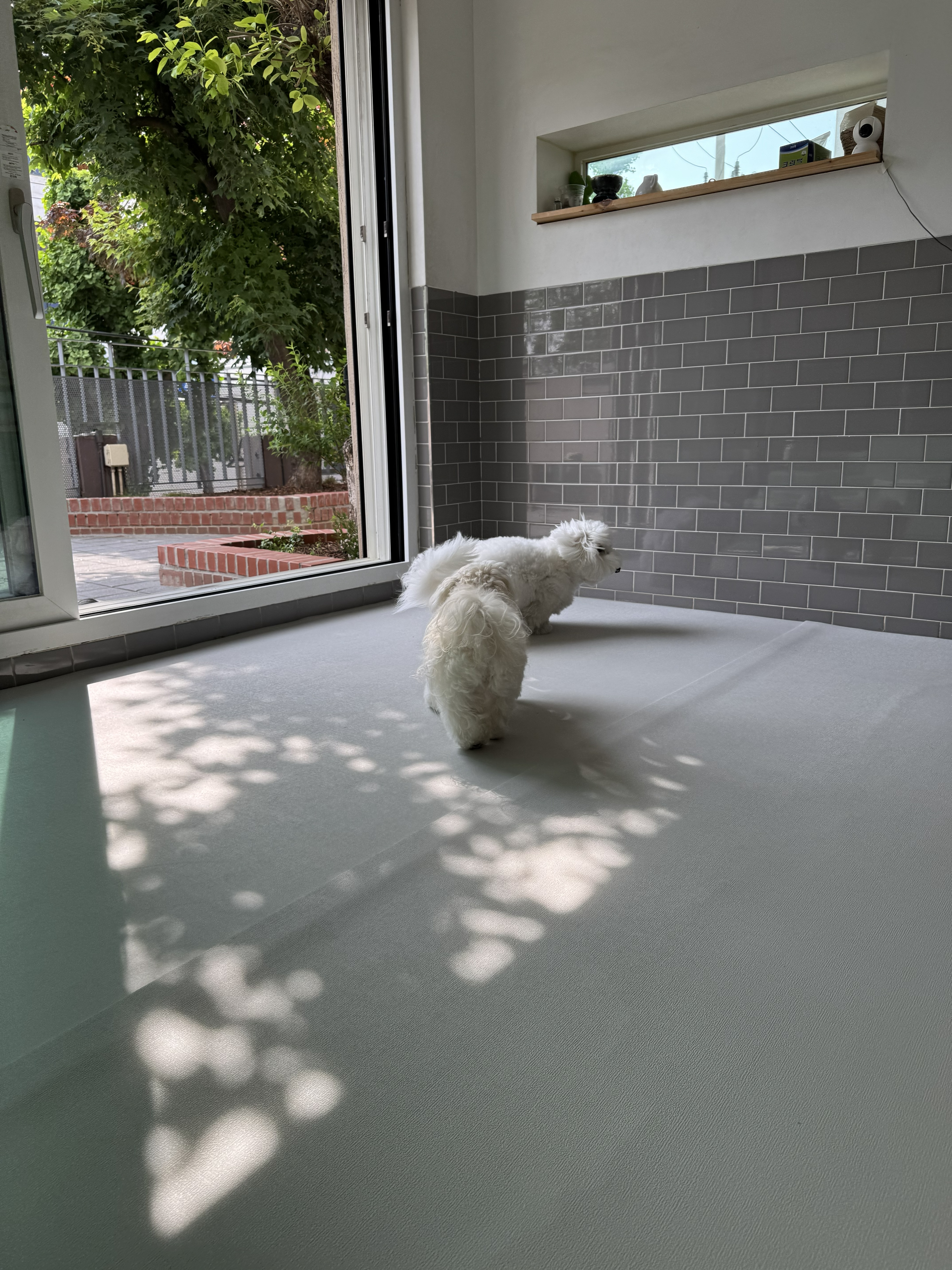 은퇴한수의사의저택 대표 이미지