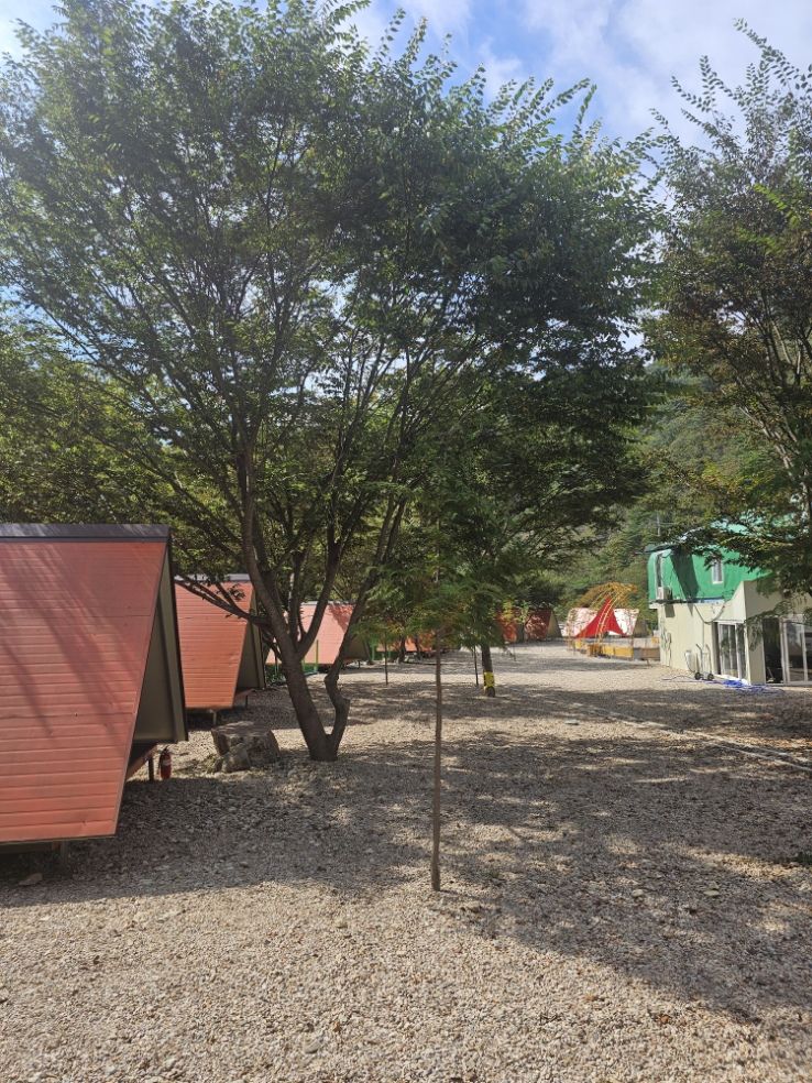포항하늘숲캠핑장 바베큐 시설 - 포항 바베큐 추천