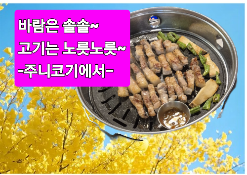 주니코기