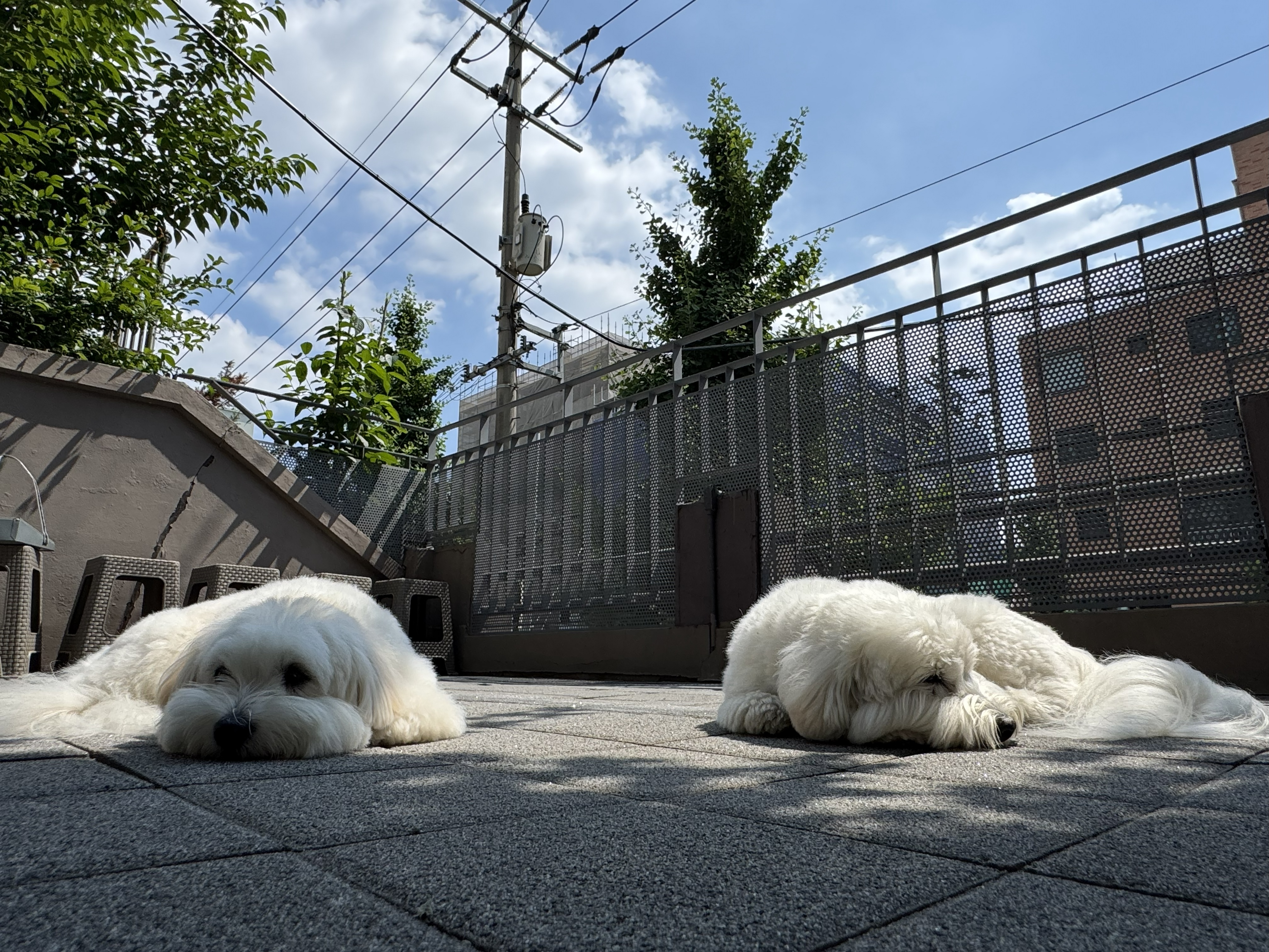 은퇴한수의사의저택 대표 이미지