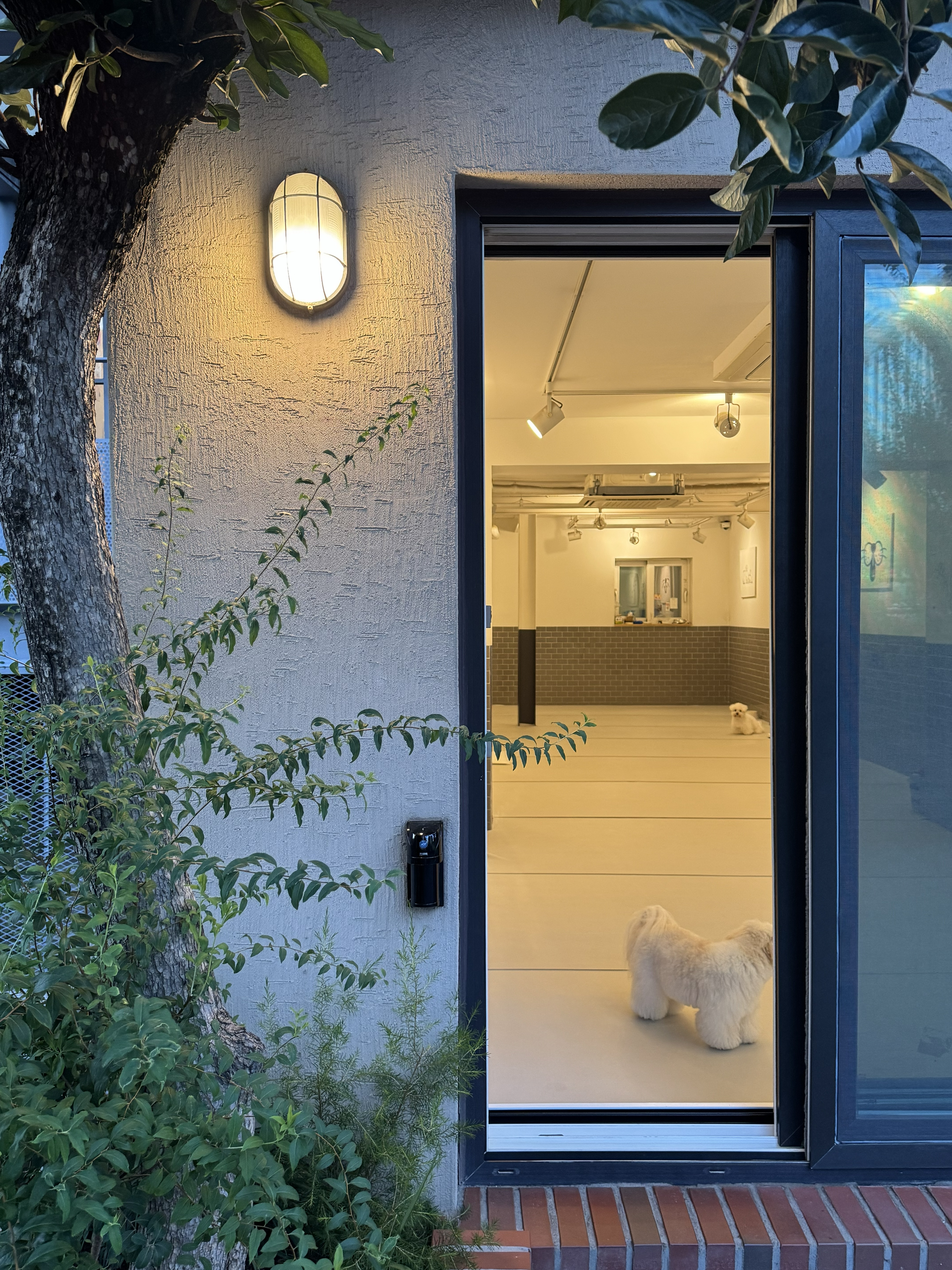 은퇴한수의사의저택 대표 이미지