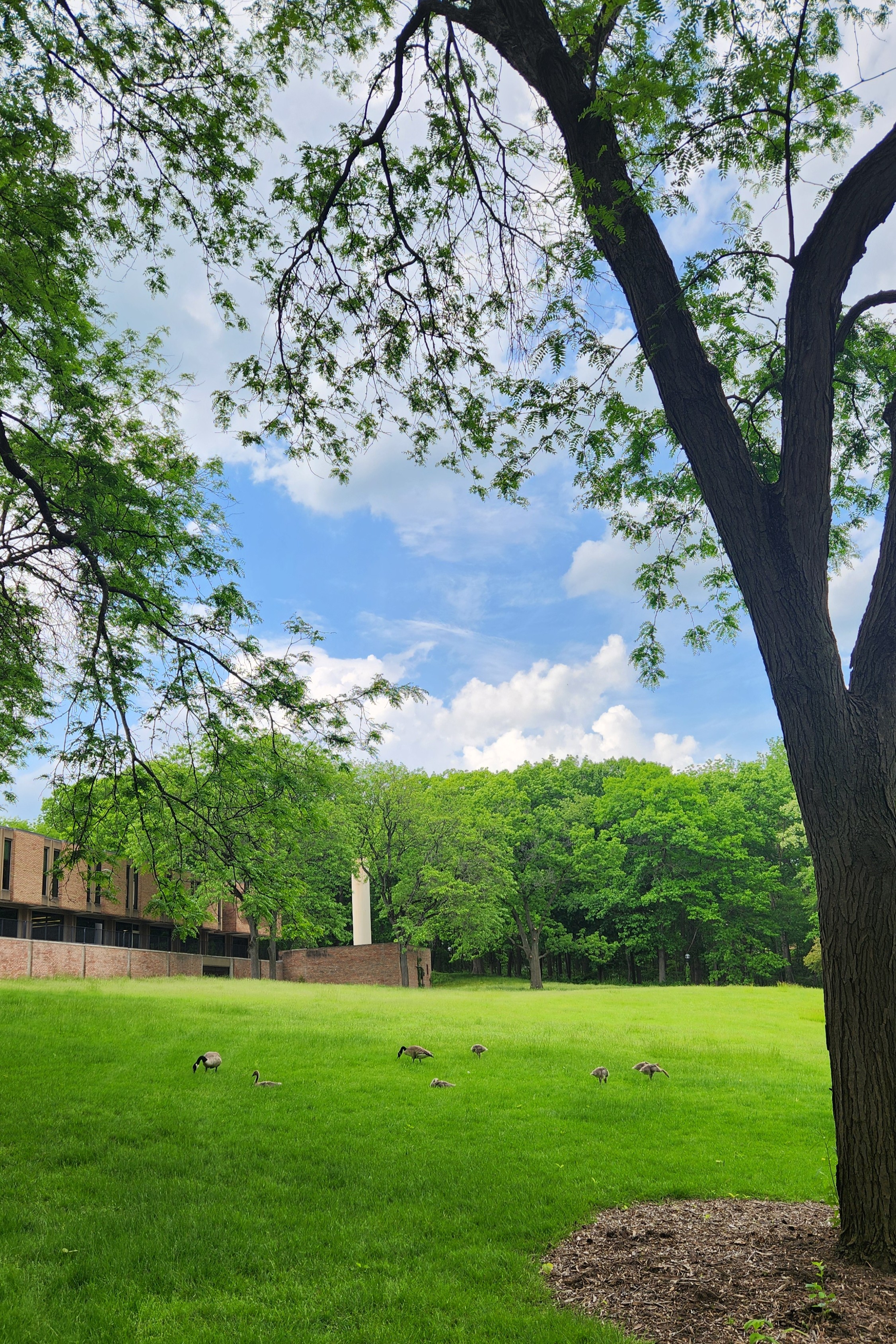 1번째 스튜디오 사진