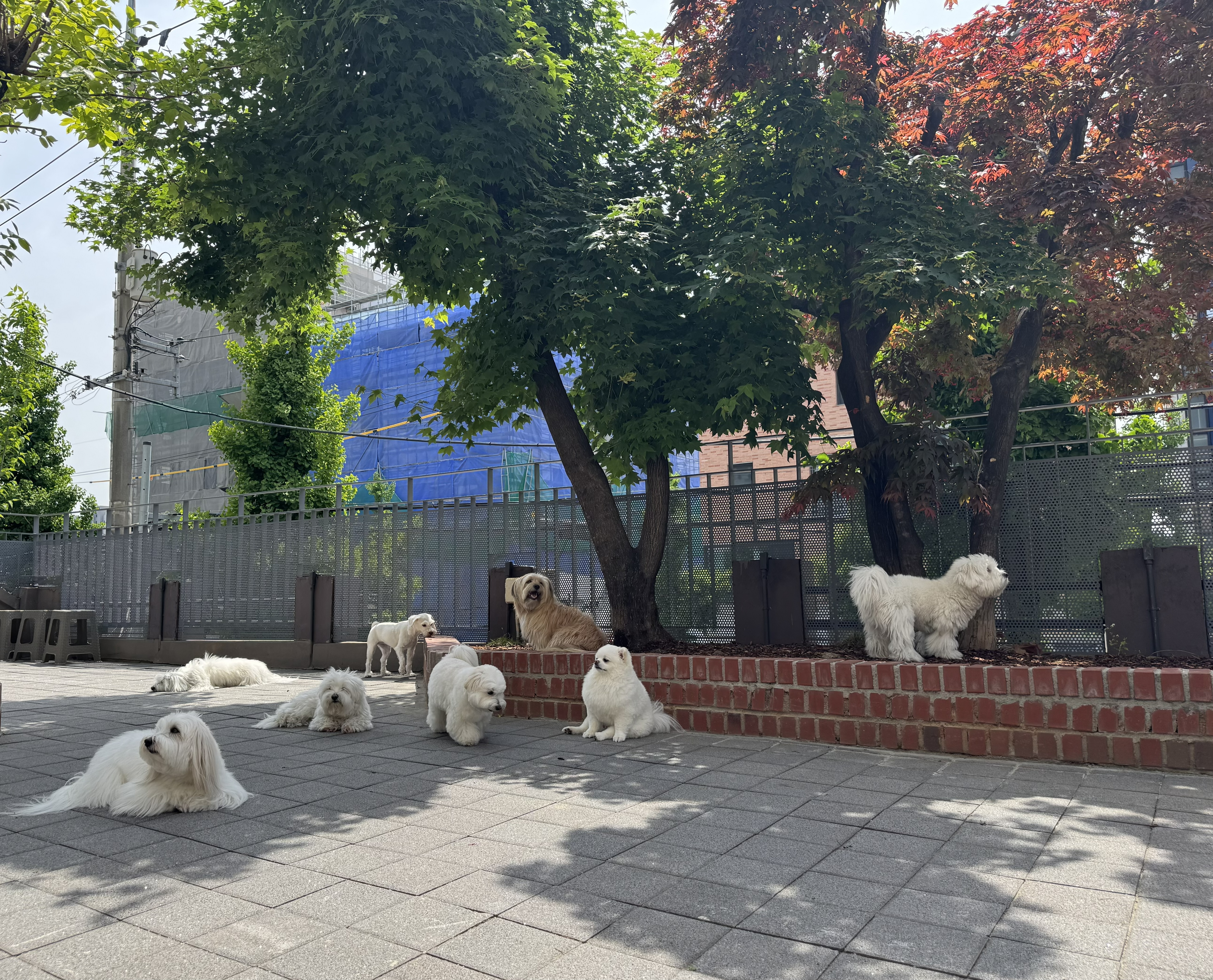 은퇴한수의사의저택 대표 이미지